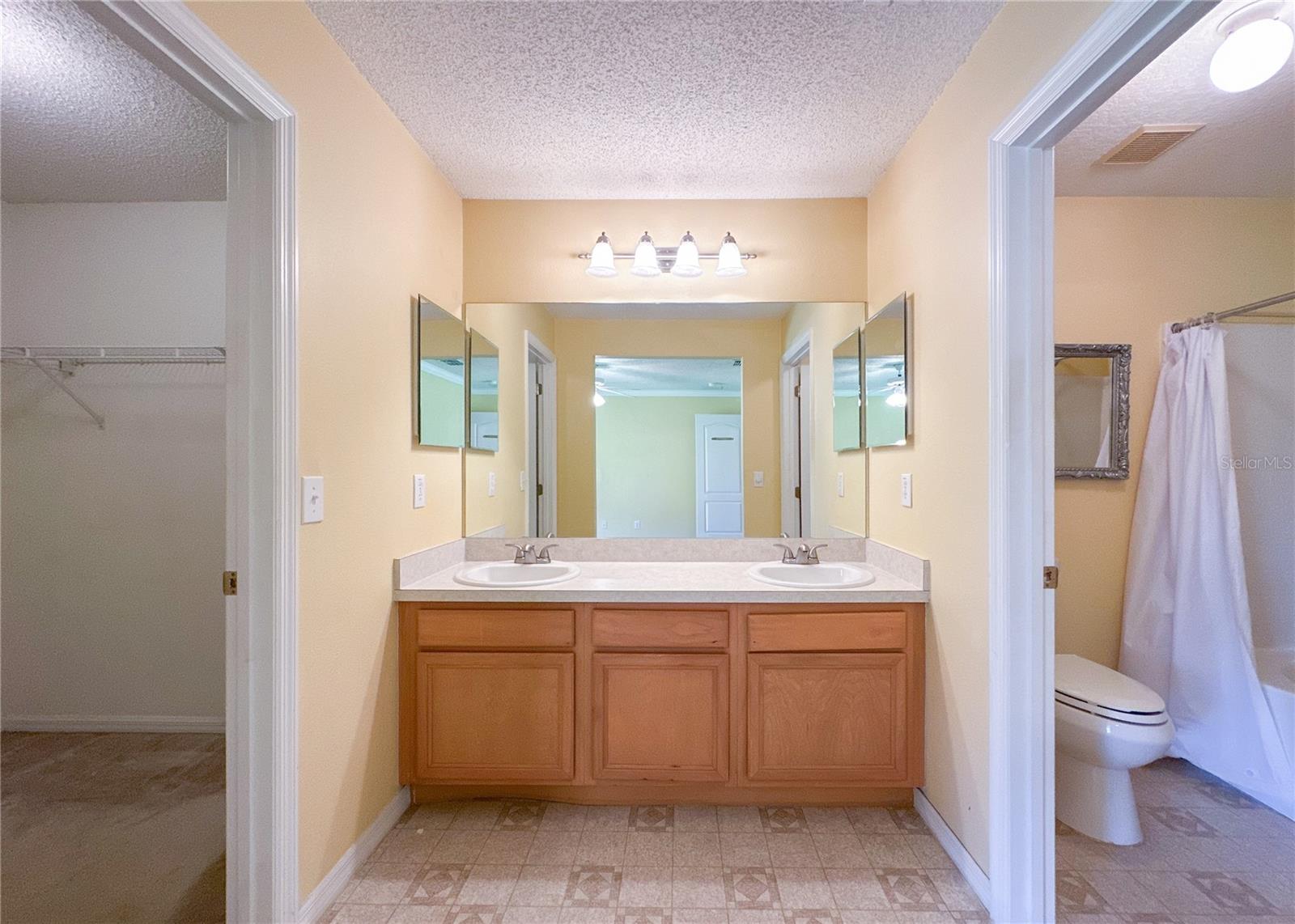 224 FAULKNER ST, WINTER GARDEN, FL, 34787