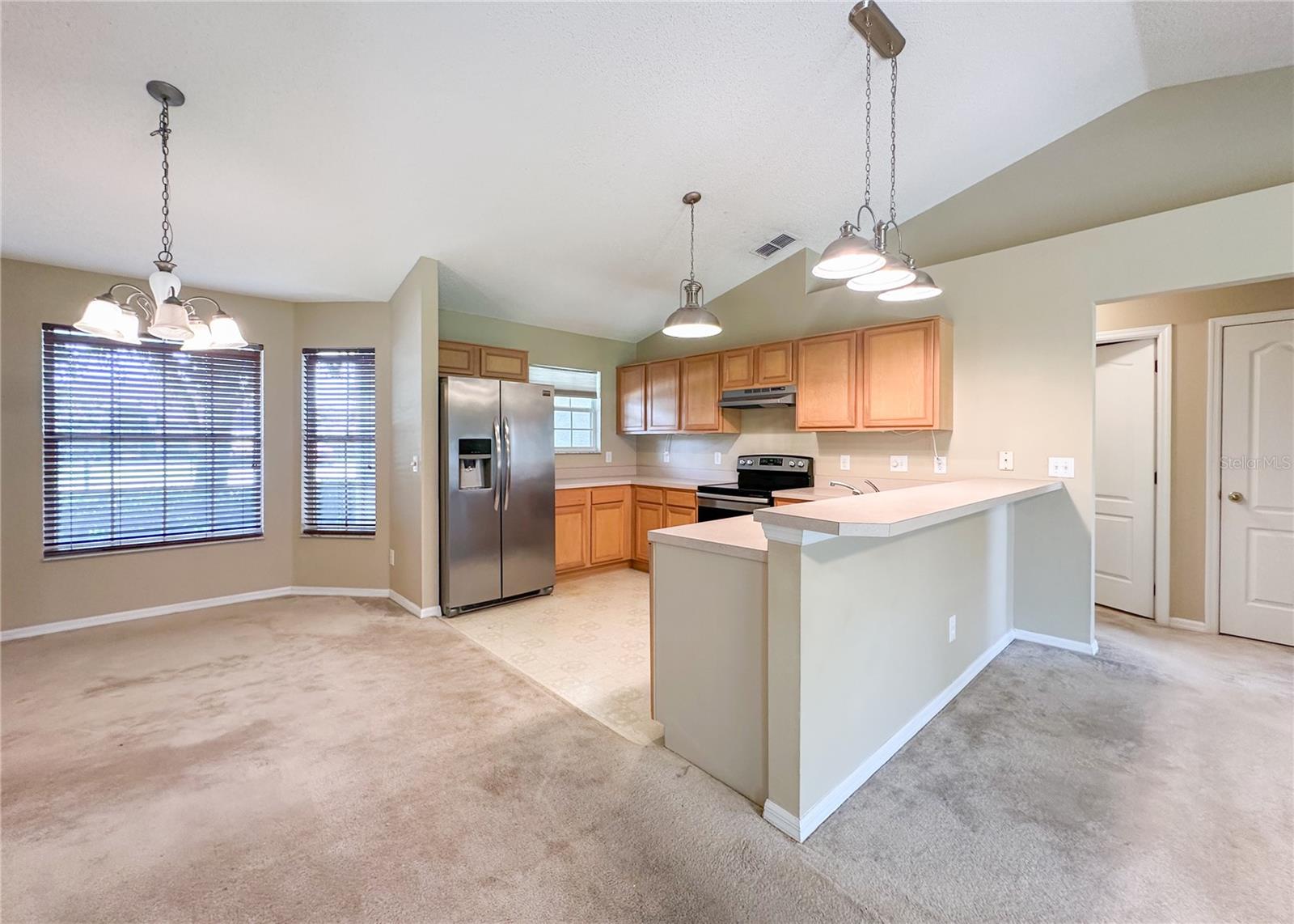 224 FAULKNER ST, WINTER GARDEN, FL, 34787