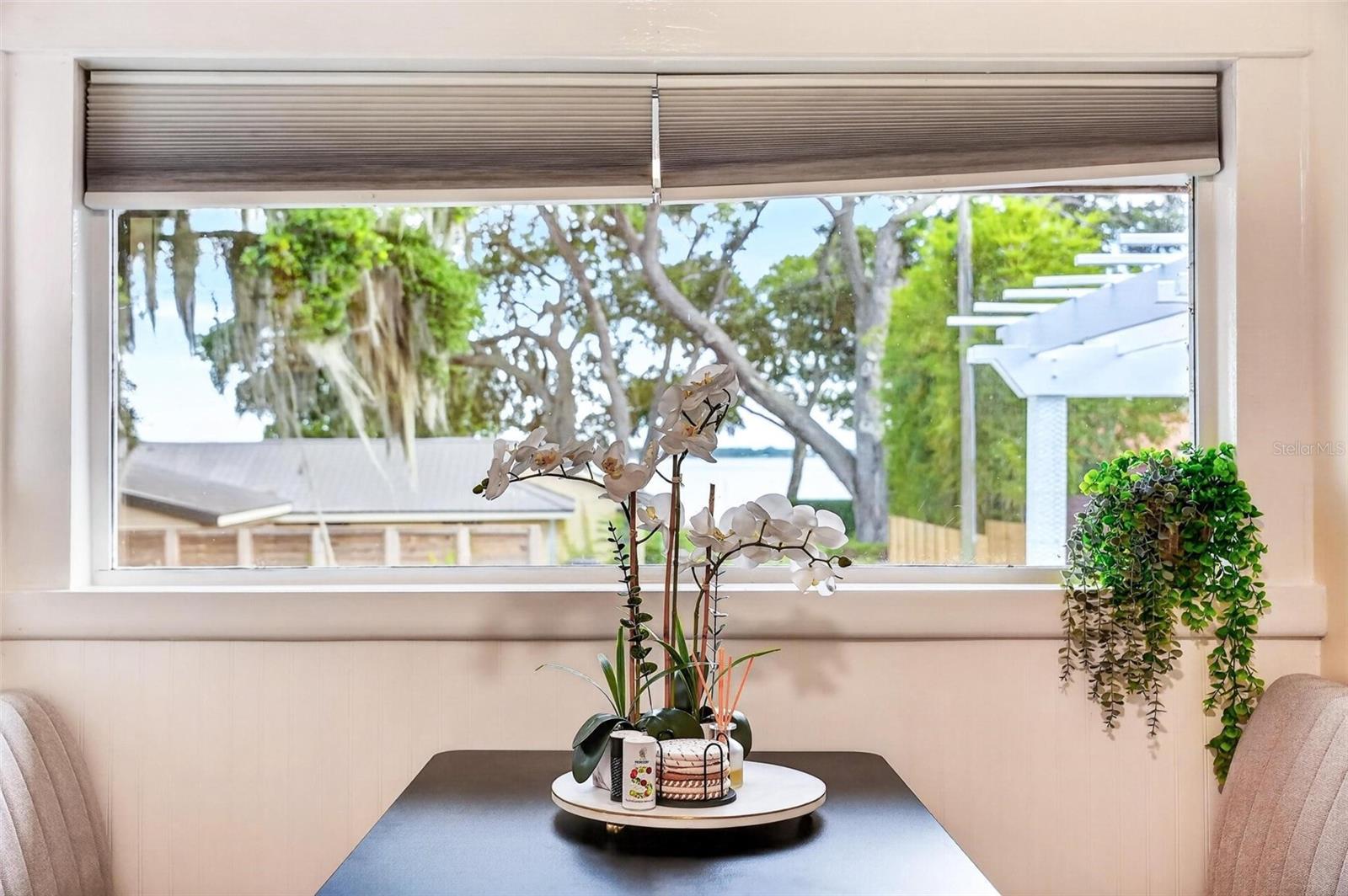 1099 GROVE AVE, MOUNT DORA, FL, 32757