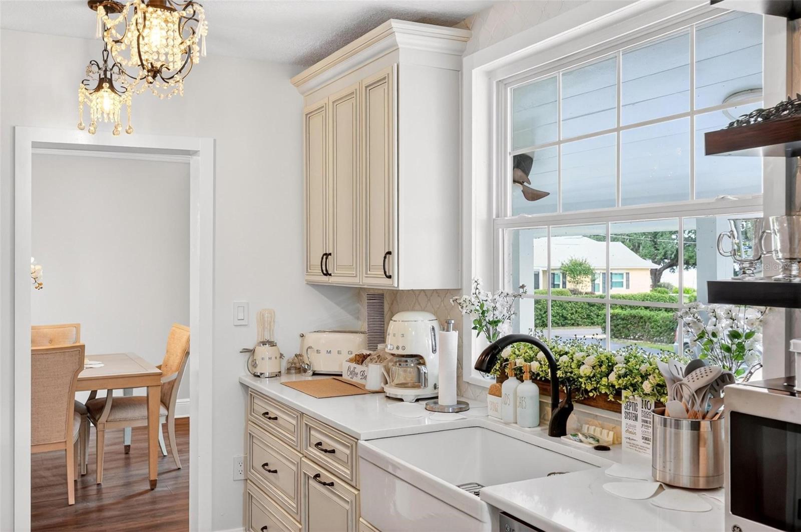 1099 GROVE AVE, MOUNT DORA, FL, 32757
