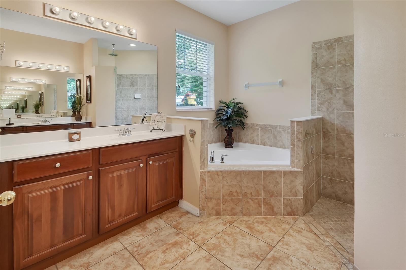 411 GARDEN ST, LAKE HELEN, FL, 32744