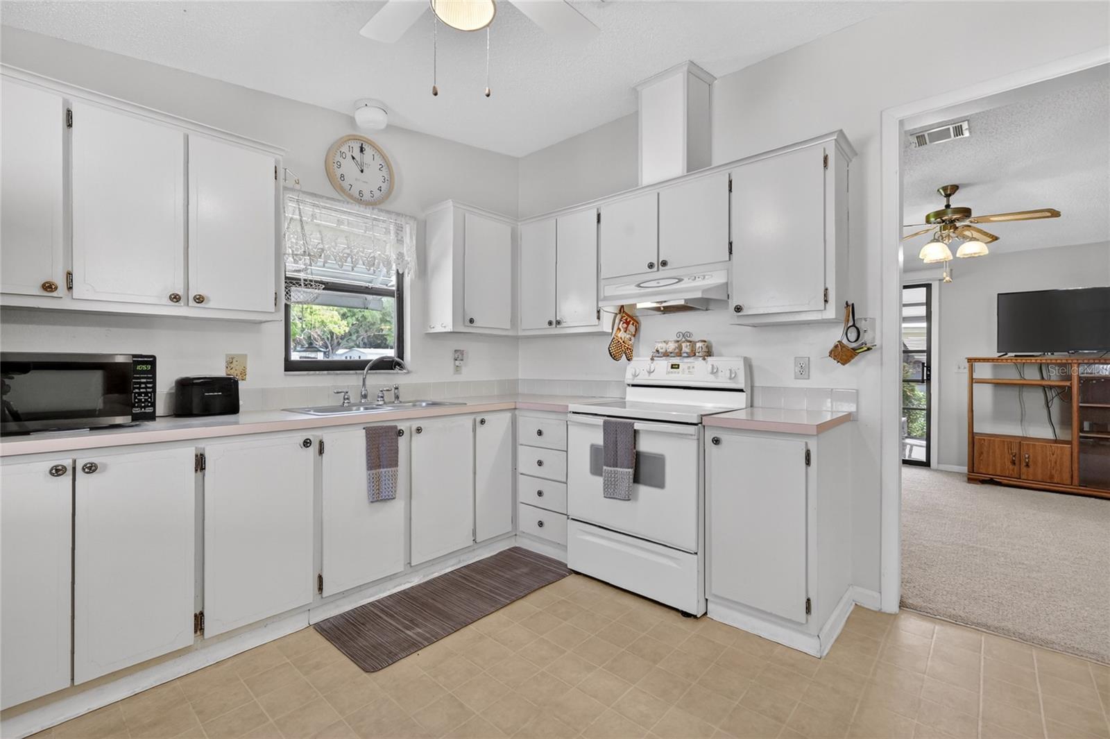 1617 CYPRESS PT, THE VILLAGES, FL, 32159