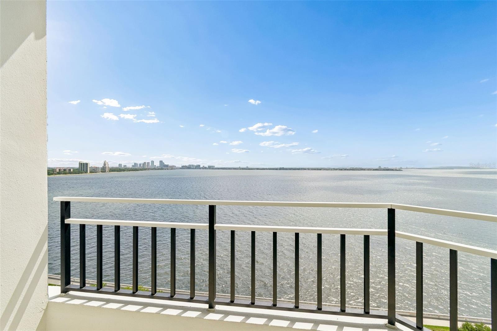 3435 BAYSHORE BLVD #1401S, TAMPA, FL, 33629