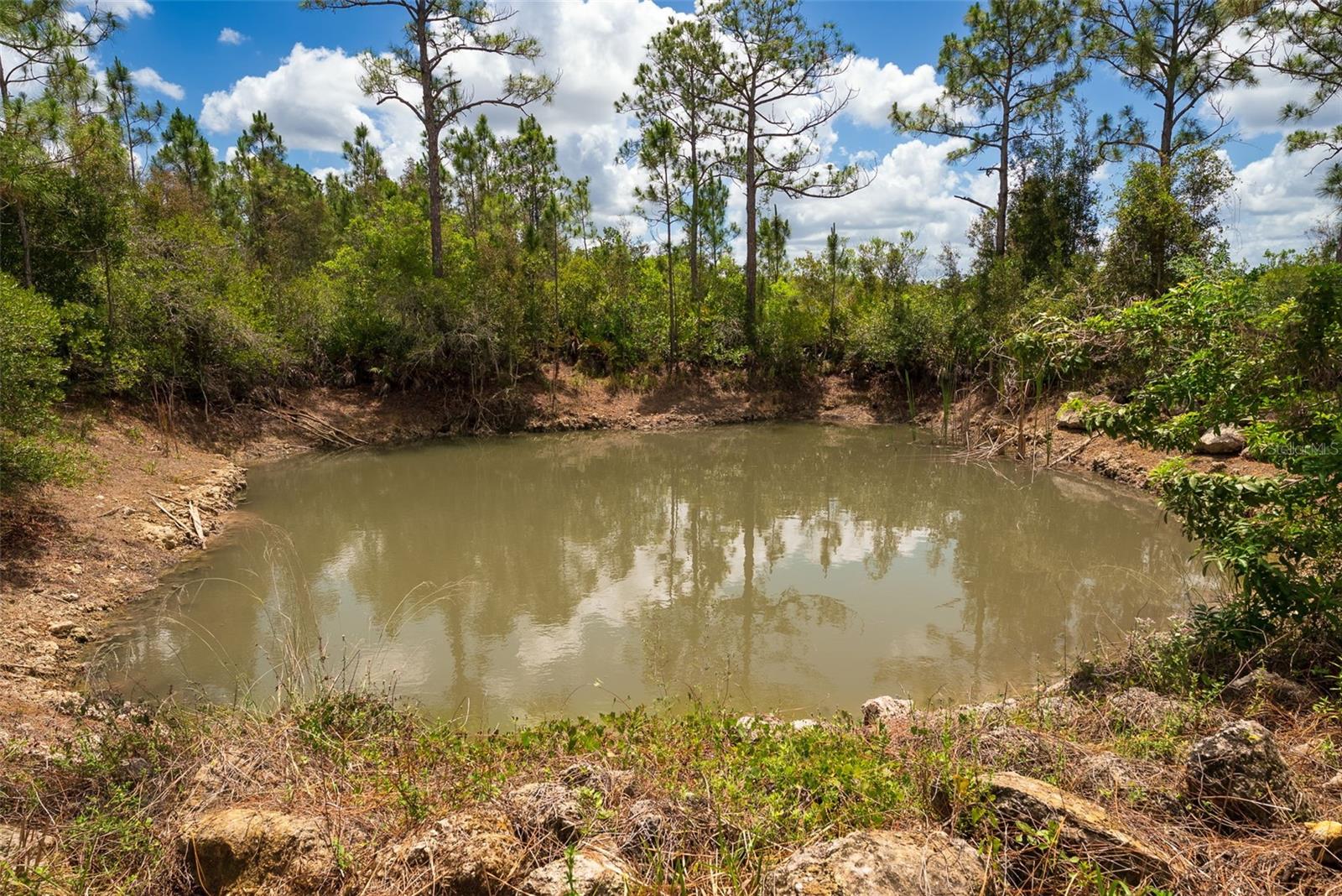 32706 OIL WELL RD, PUNTA GORDA, FL, 33955