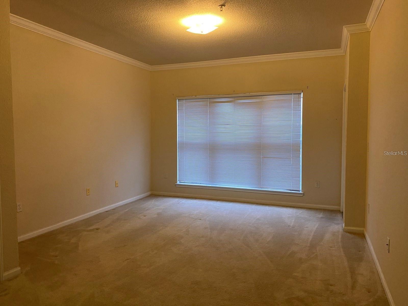 1216 S MISSOURI AVE #428, CLEARWATER, FL, 33756