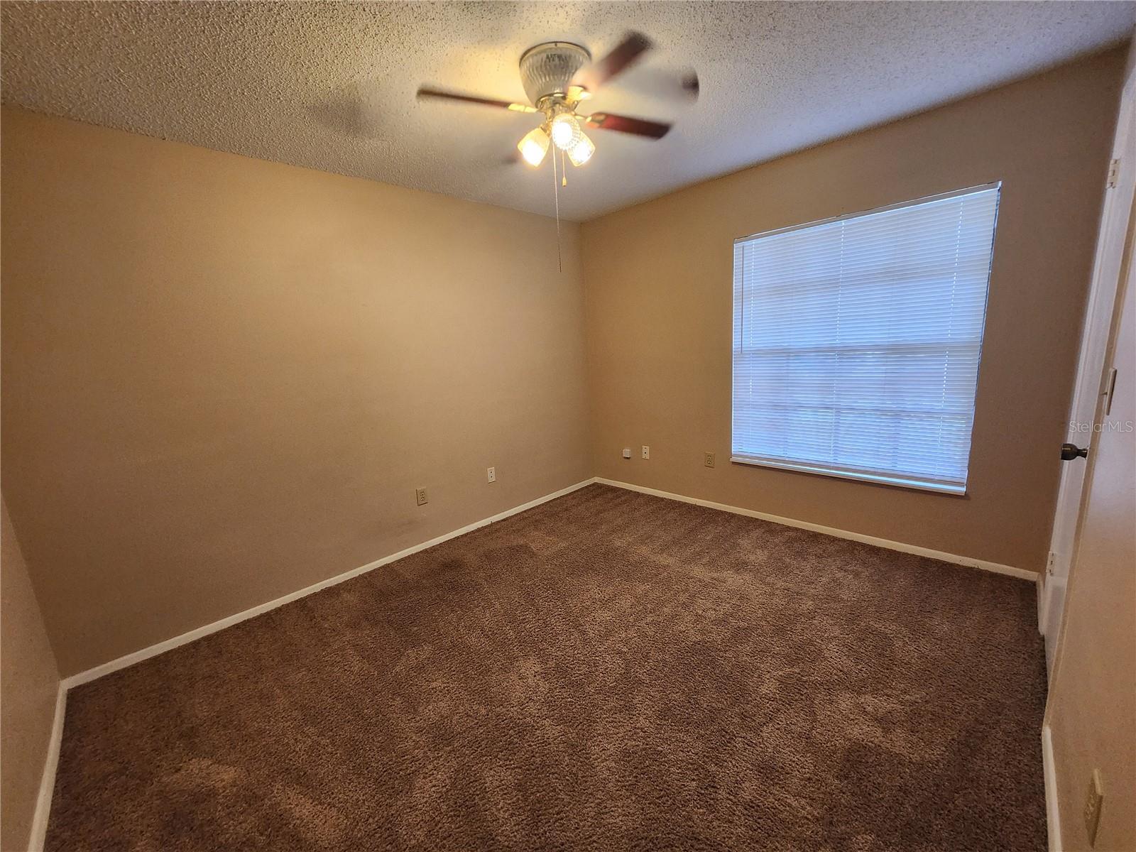 1904 FIRETHORN CT, BRANDON, FL, 33511