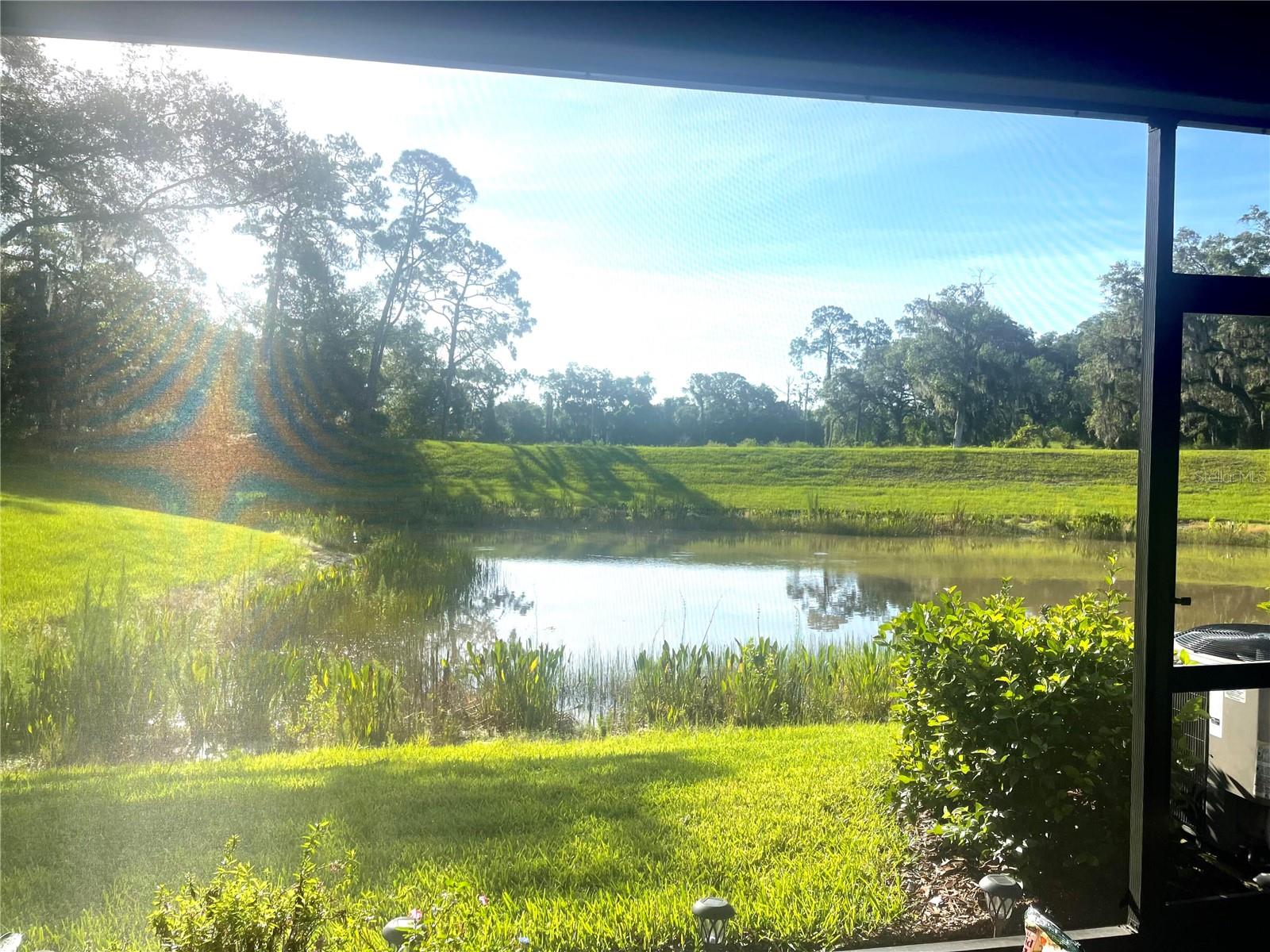 2463 MIDNIGHT PEARL DR, SARASOTA, FL, 34240