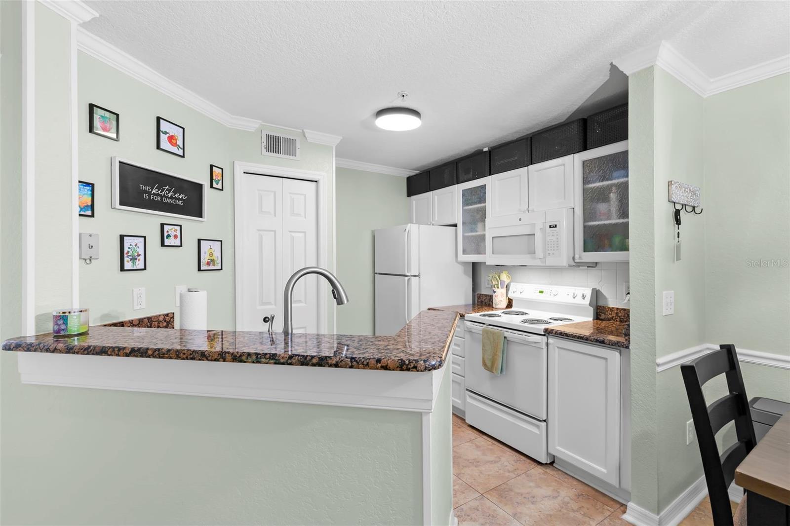 18107 PEREGRINES PERCH PL #6111, LUTZ, FL, 33558
