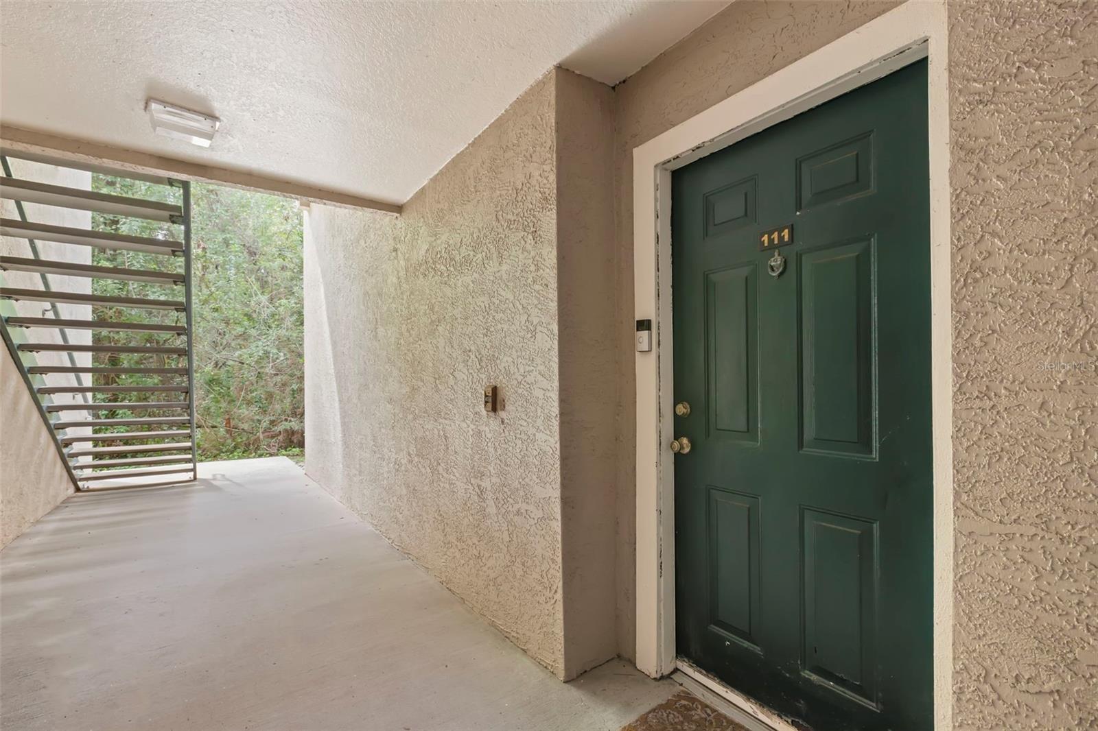 18107 PEREGRINES PERCH PL #6111, LUTZ, FL, 33558