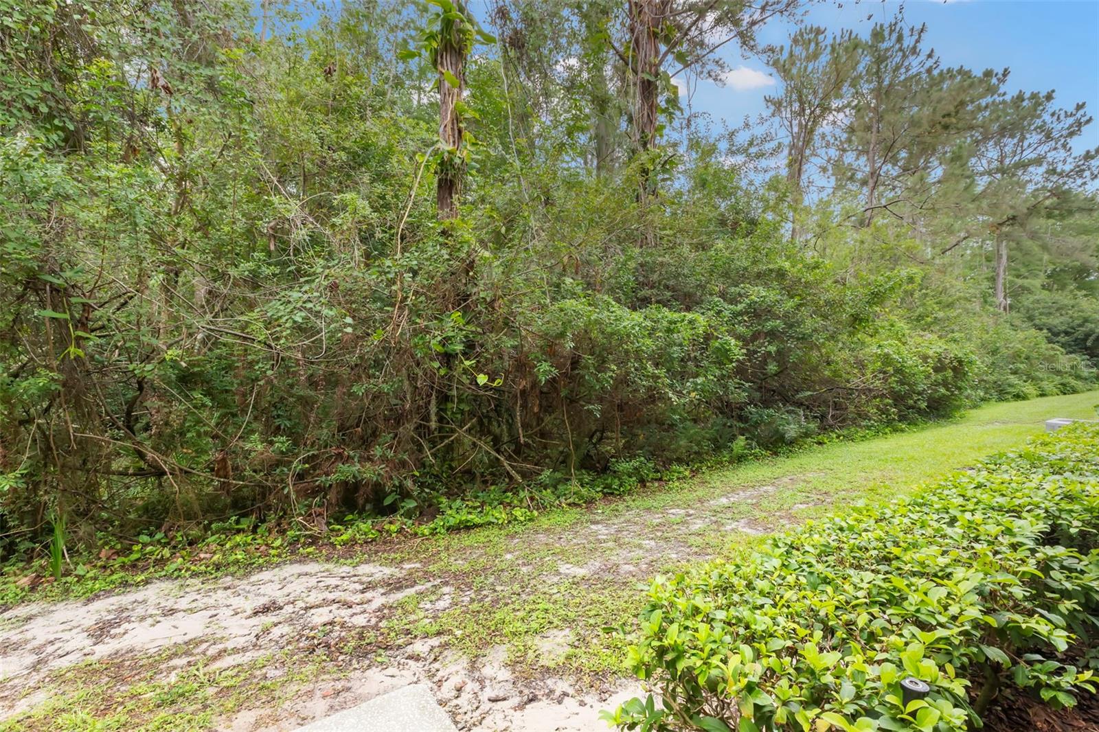 18107 PEREGRINES PERCH PL #6111, LUTZ, FL, 33558