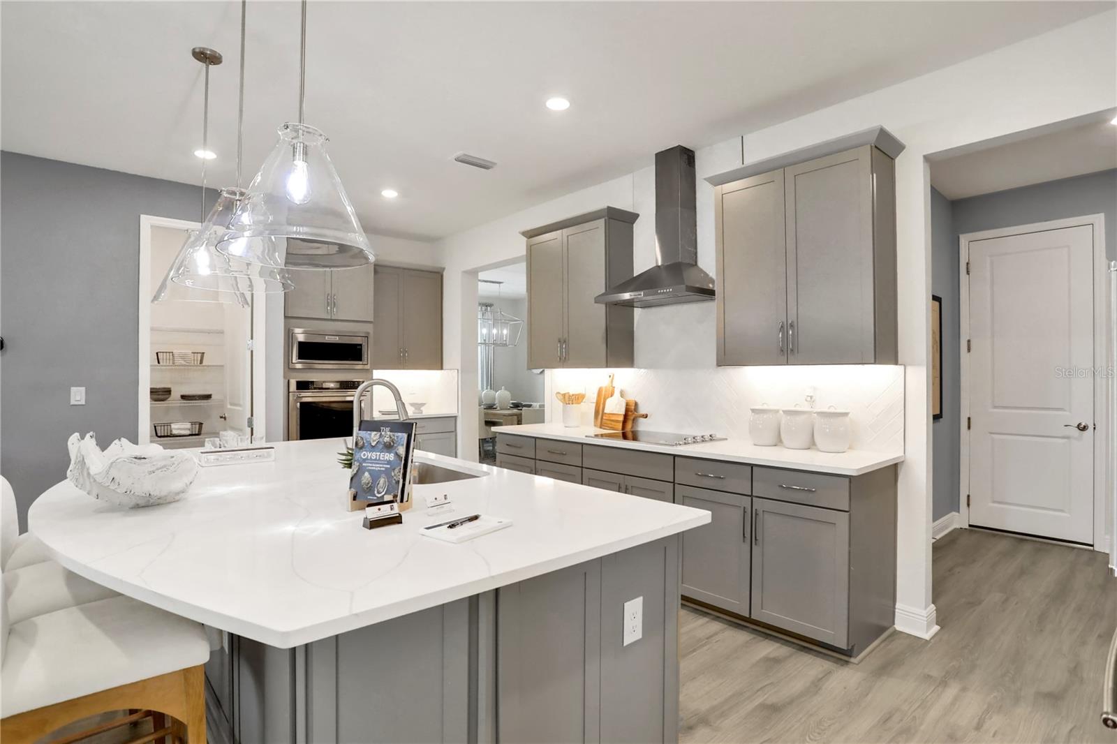 17558 VALLEYWOOD PKWY, LAND O LAKES, FL, 34638