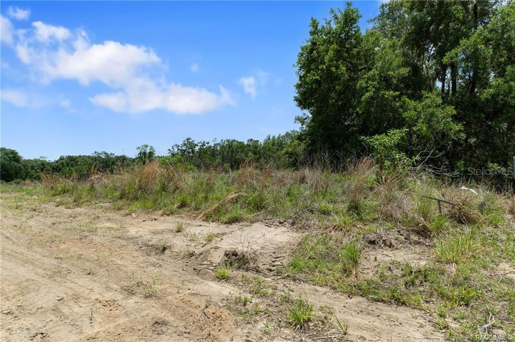 4452 E REJOICE ST, INVERNESS, FL, 34453