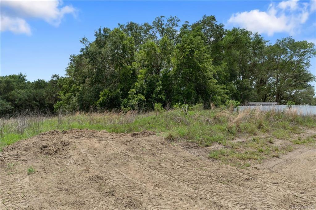 4452 E REJOICE ST, INVERNESS, FL, 34453