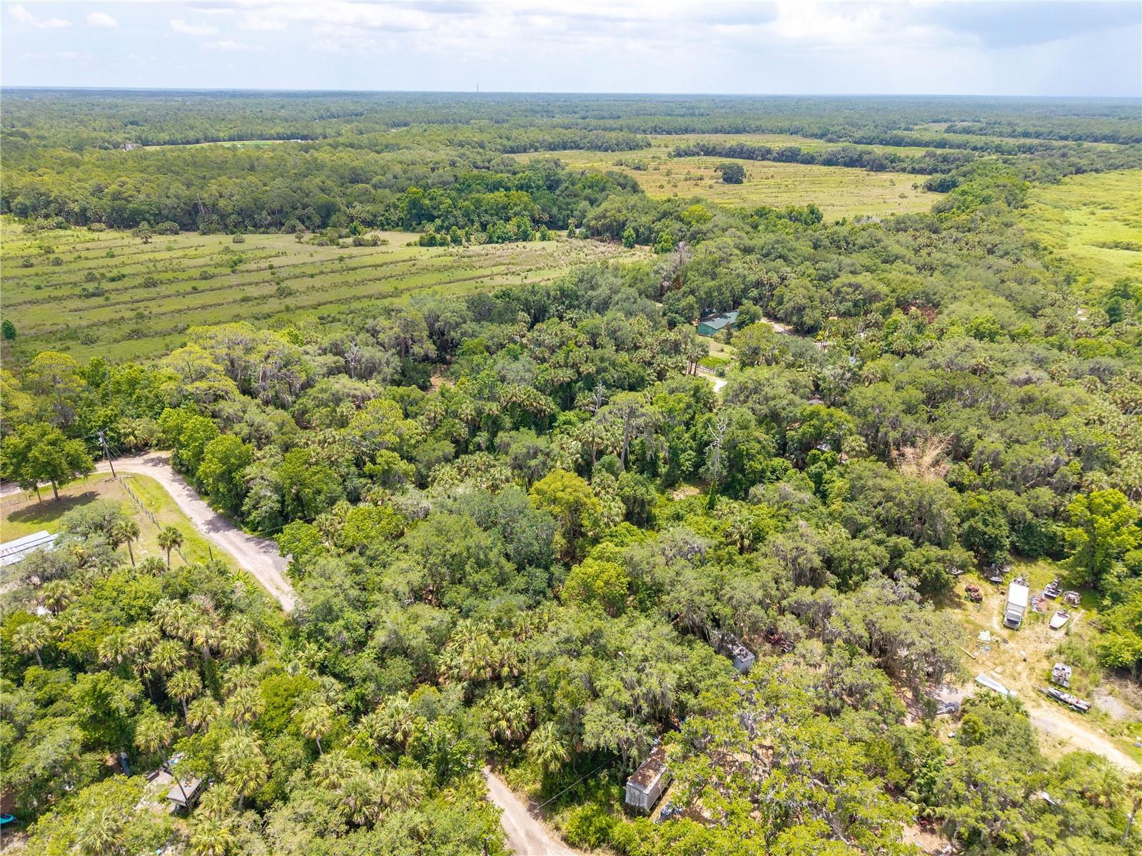 SWAMP LN, GENEVA, FL, 32732