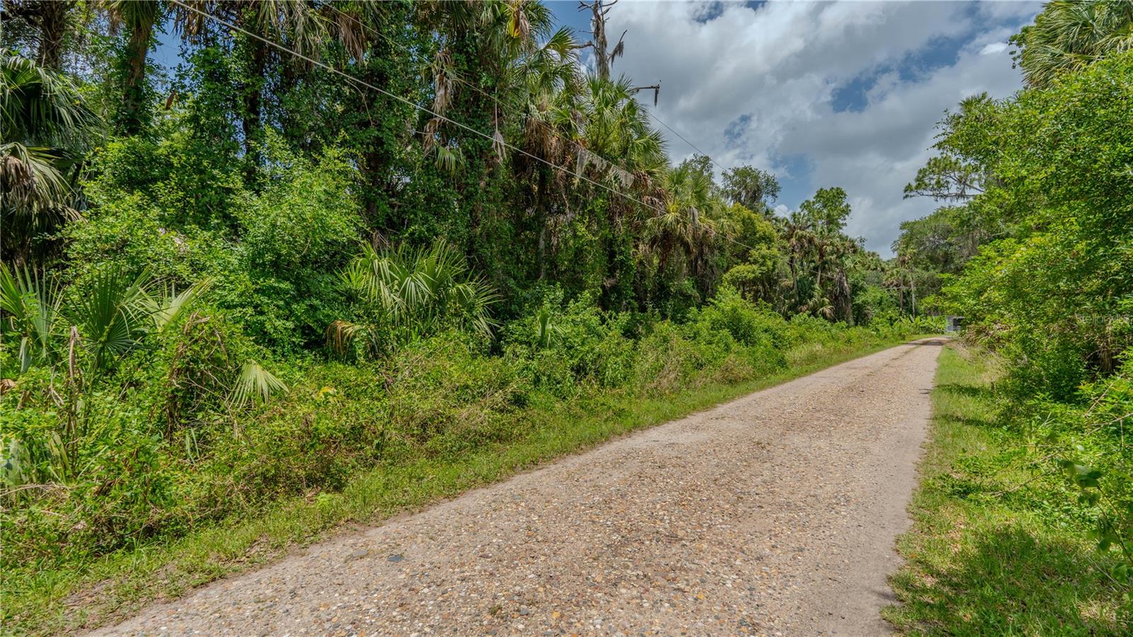 SWAMP LN, GENEVA, FL, 32732