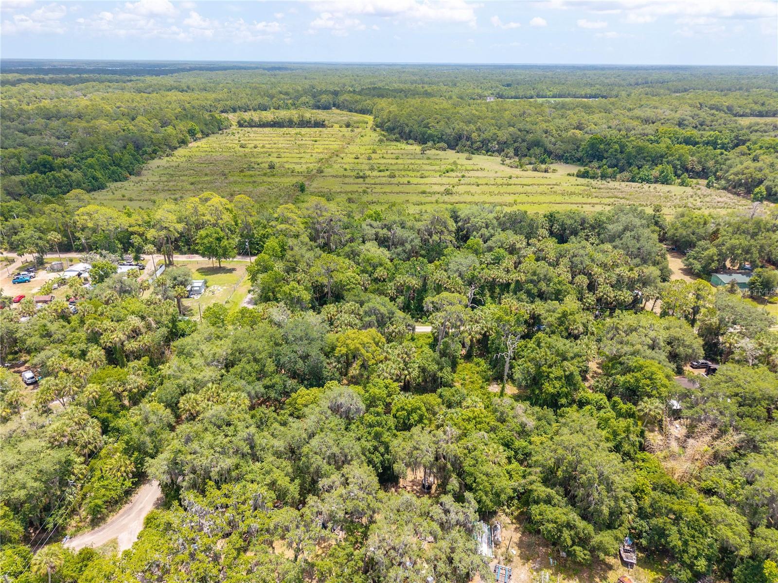 SWAMP LN, GENEVA, FL, 32732