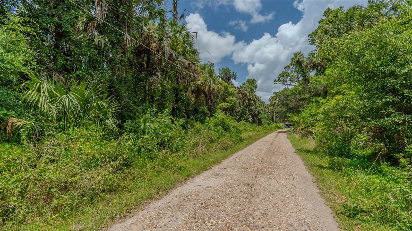 SWAMP LN, GENEVA, FL, 32732