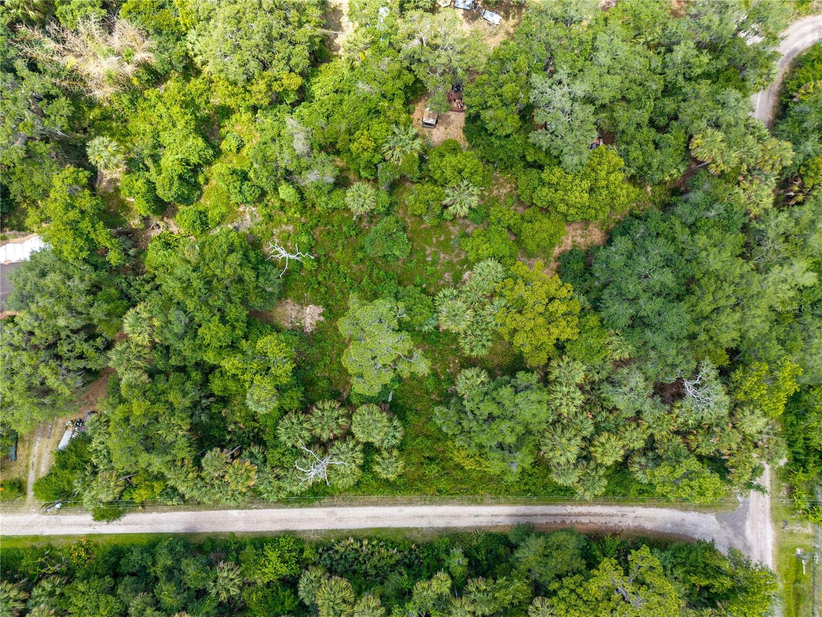 SWAMP LN, GENEVA, FL, 32732