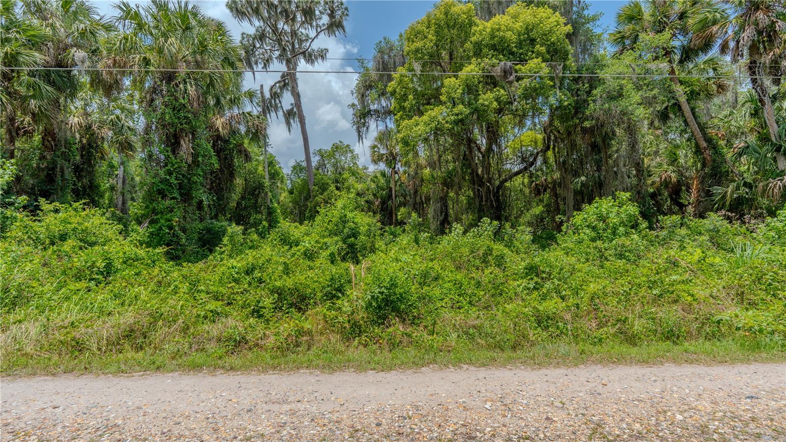 SWAMP LN, GENEVA, FL, 32732