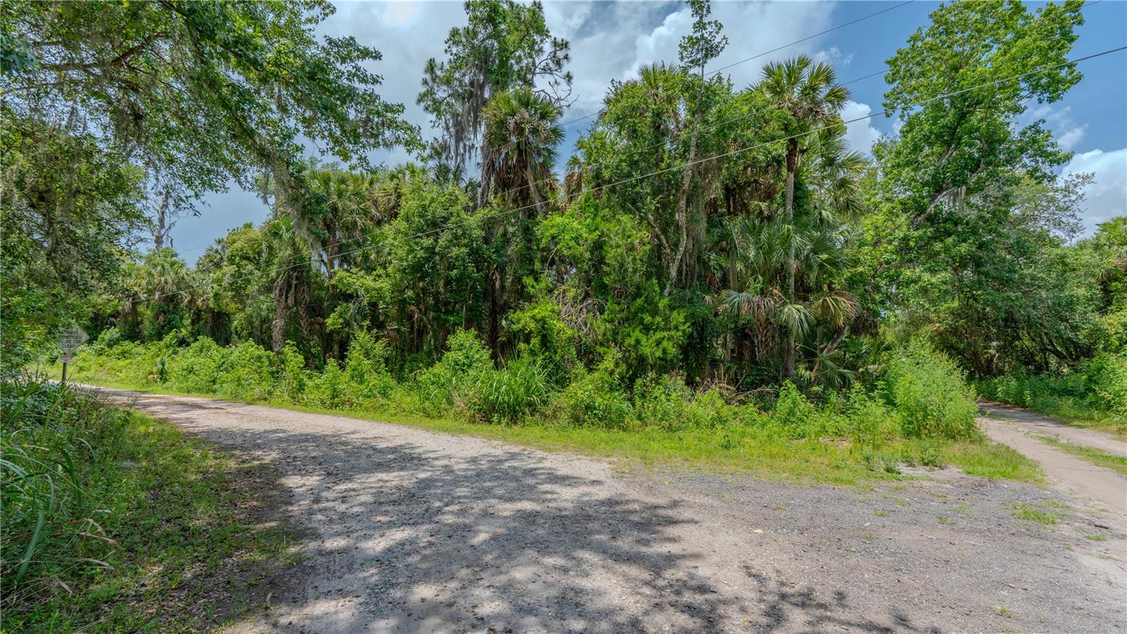 SWAMP LN, GENEVA, FL, 32732