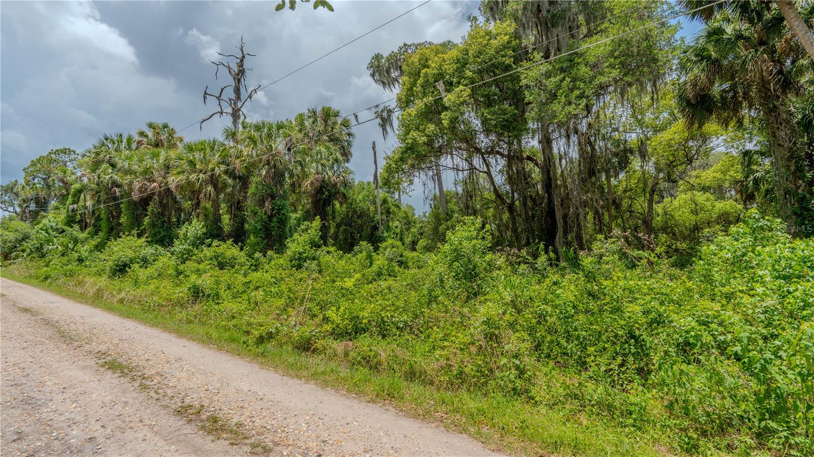 SWAMP LN, GENEVA, FL, 32732