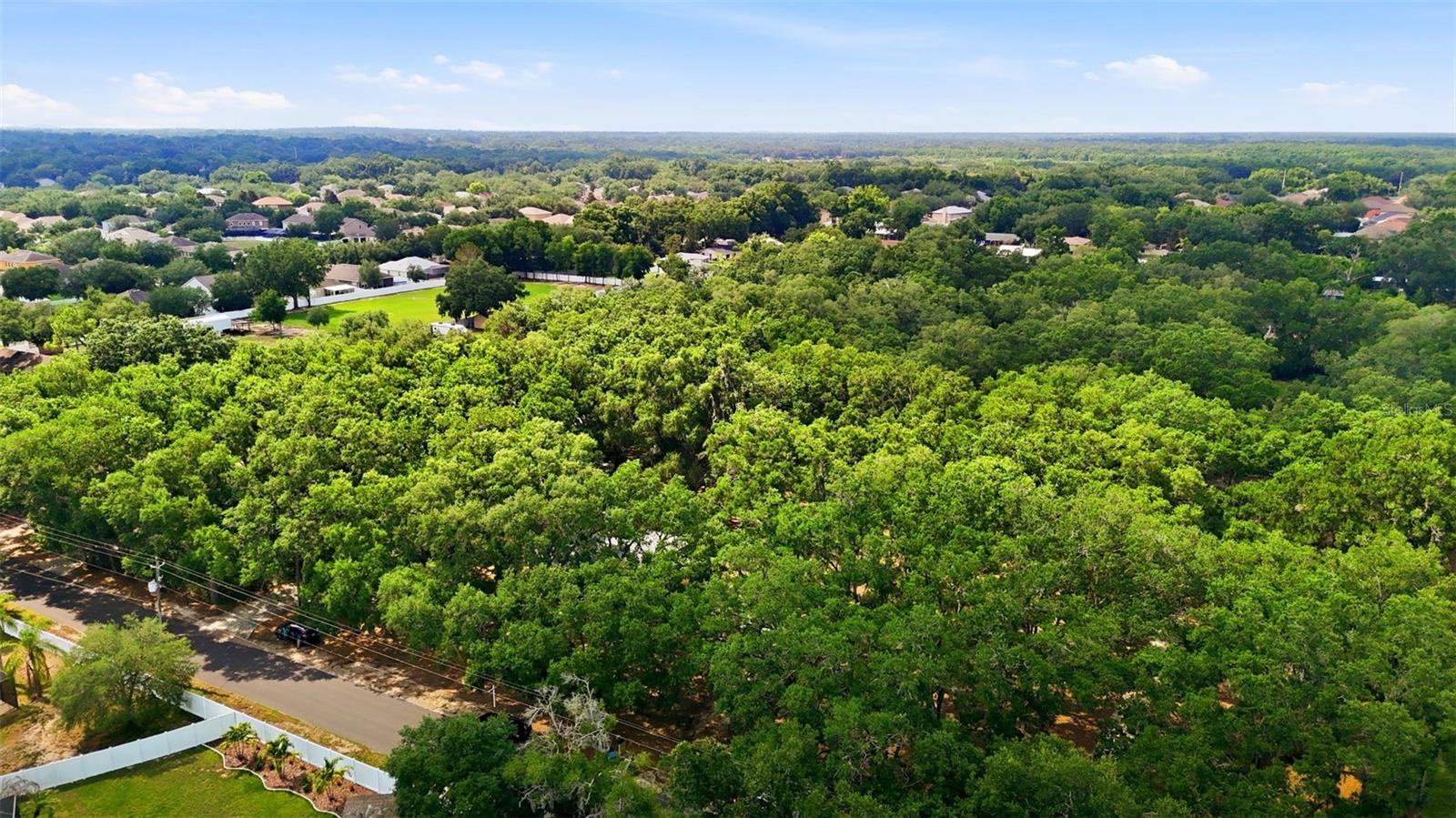 1918 SYDNEY RD, VALRICO, FL, 33594