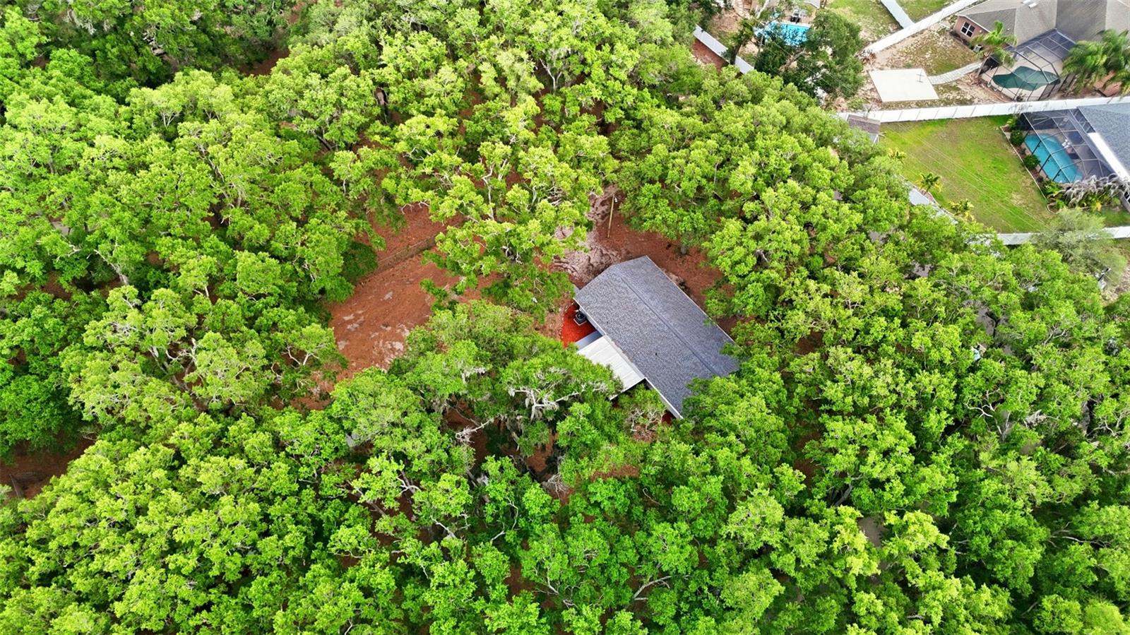 1918 SYDNEY RD, VALRICO, FL, 33594