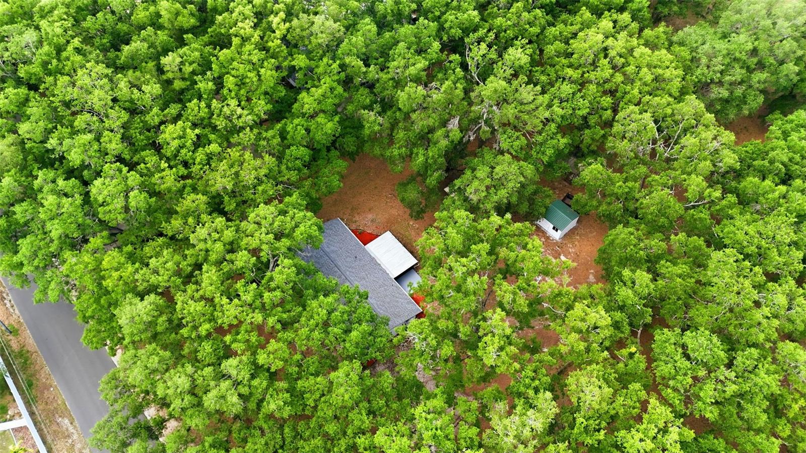 1918 SYDNEY RD, VALRICO, FL, 33594