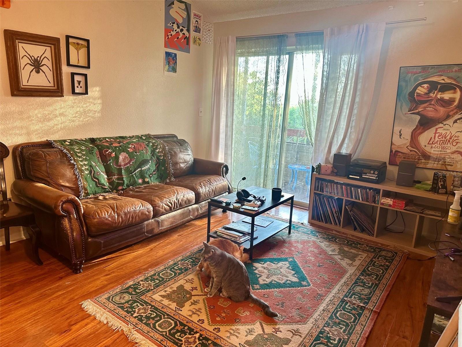 10263 GANDY BLVD N #2304, ST PETERSBURG, FL, 33702
