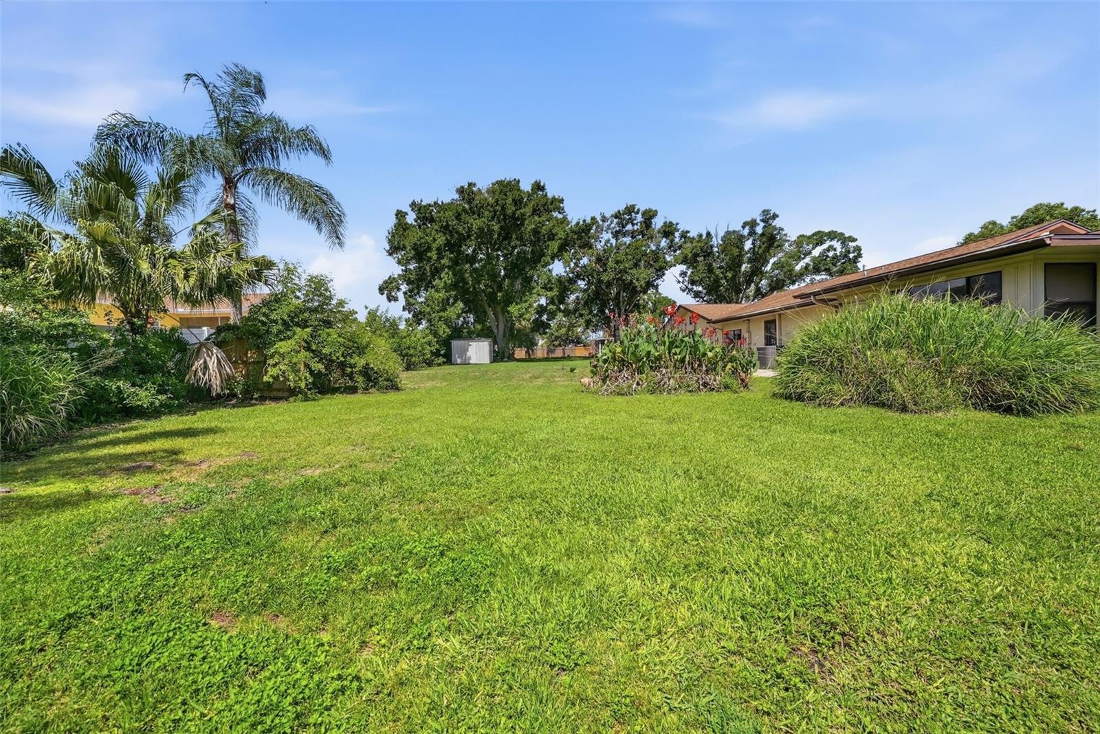 3133 BAY LN, CLEARWATER, FL, 33759