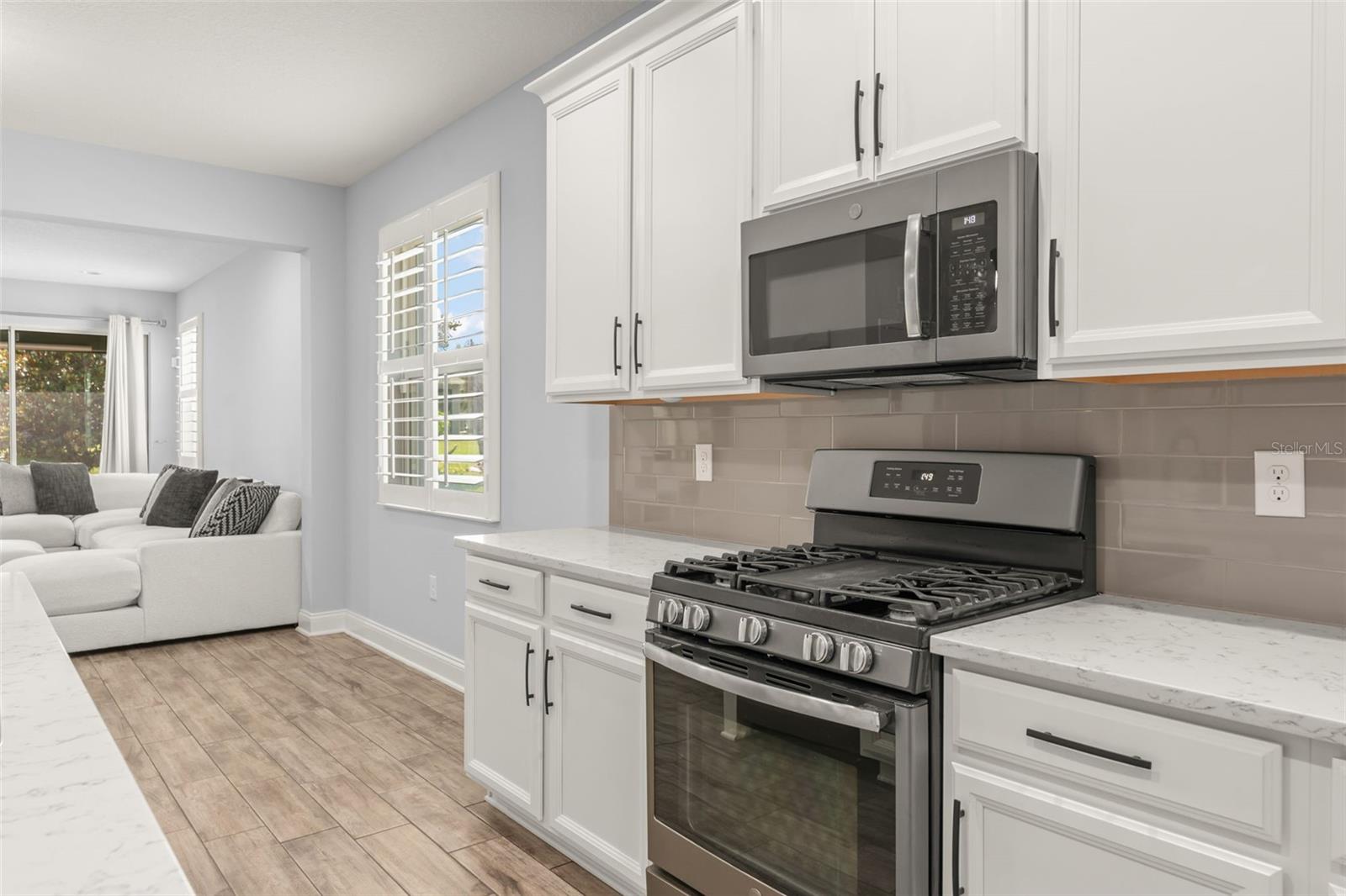 8266 PURPLE SANDPIPER AVE, WINTER GARDEN, FL, 34787