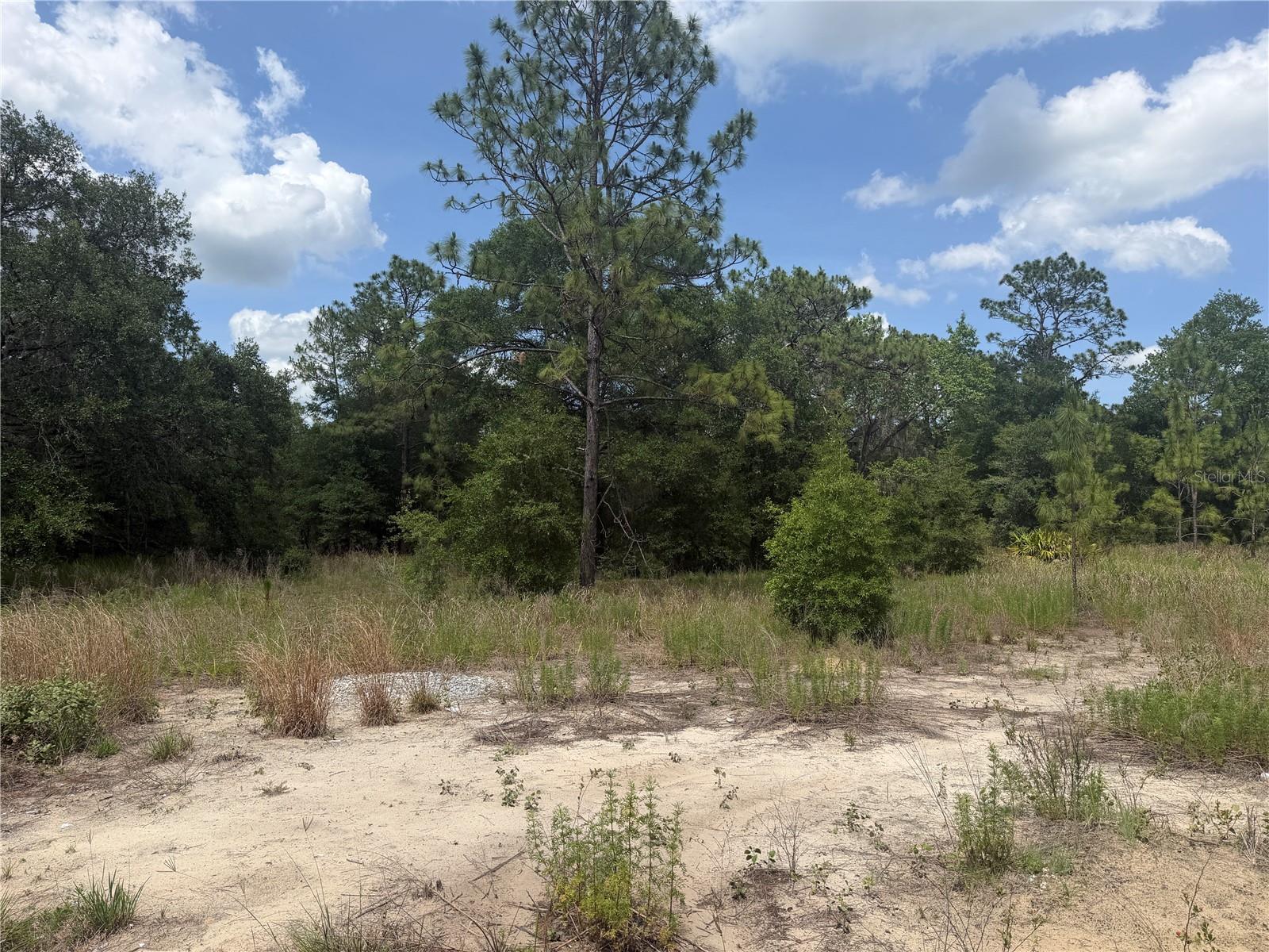 TBD SW 145TH CT, OCALA, FL, 34482