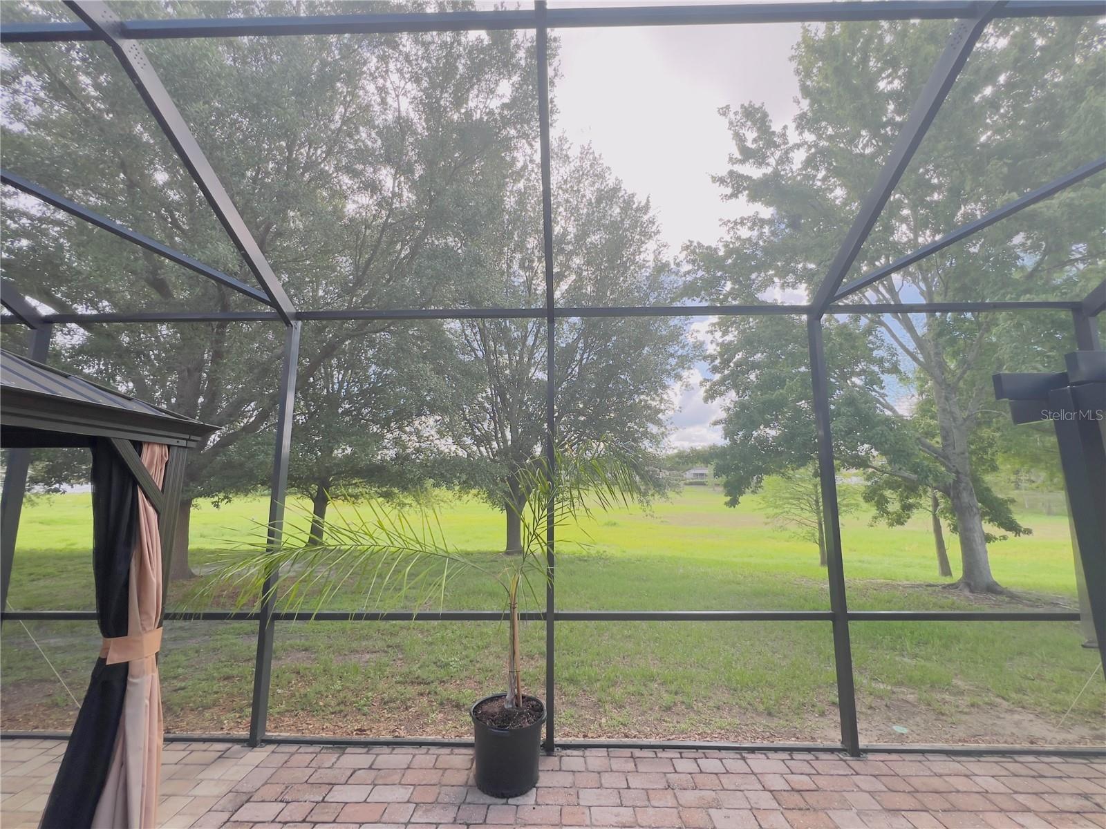992 NODDING SHADE DR, BROOKSVILLE, FL, 34604