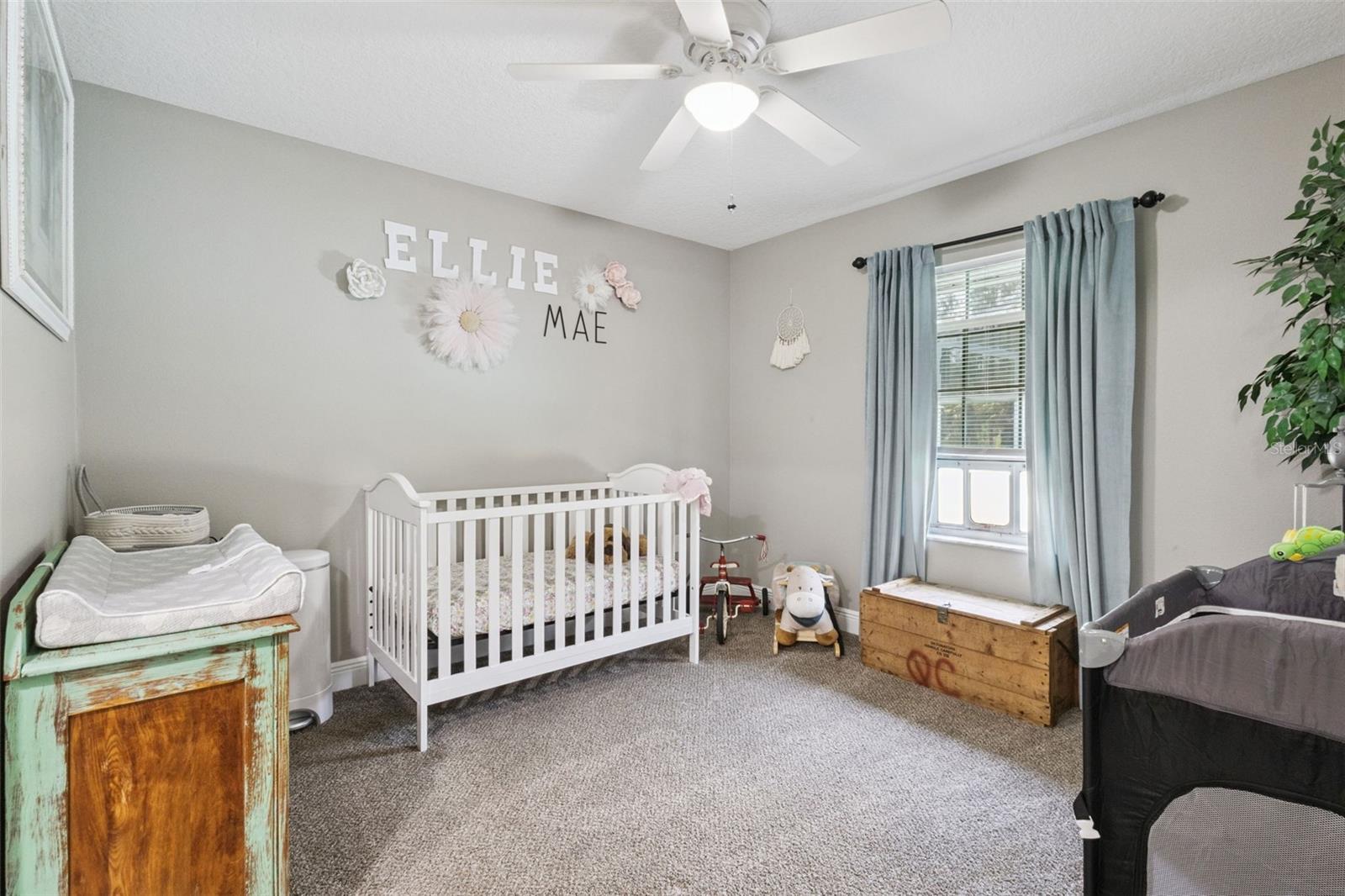 37911 FELKINS RD, LEESBURG, FL, 34788