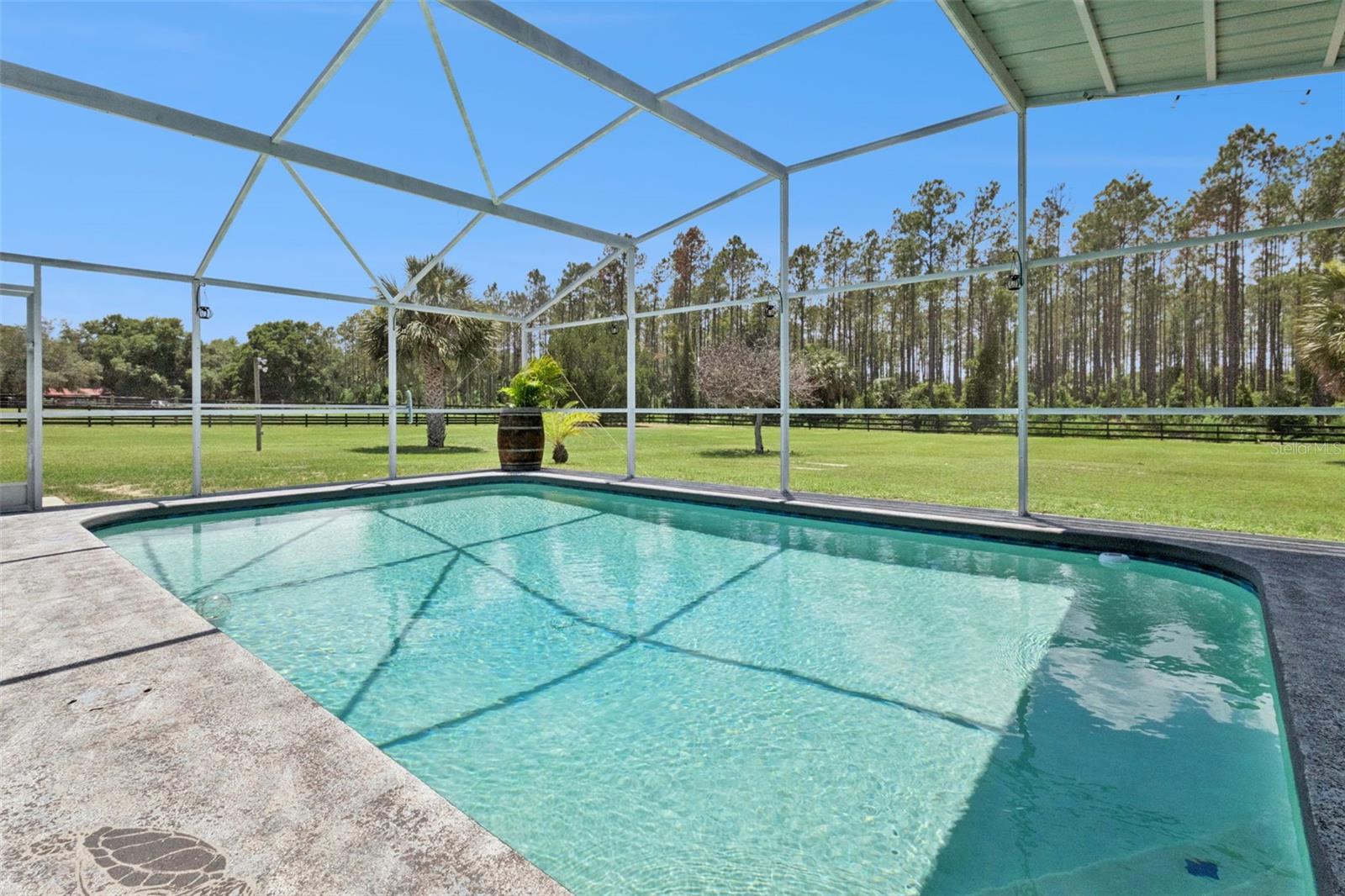 37911 FELKINS RD, LEESBURG, FL, 34788
