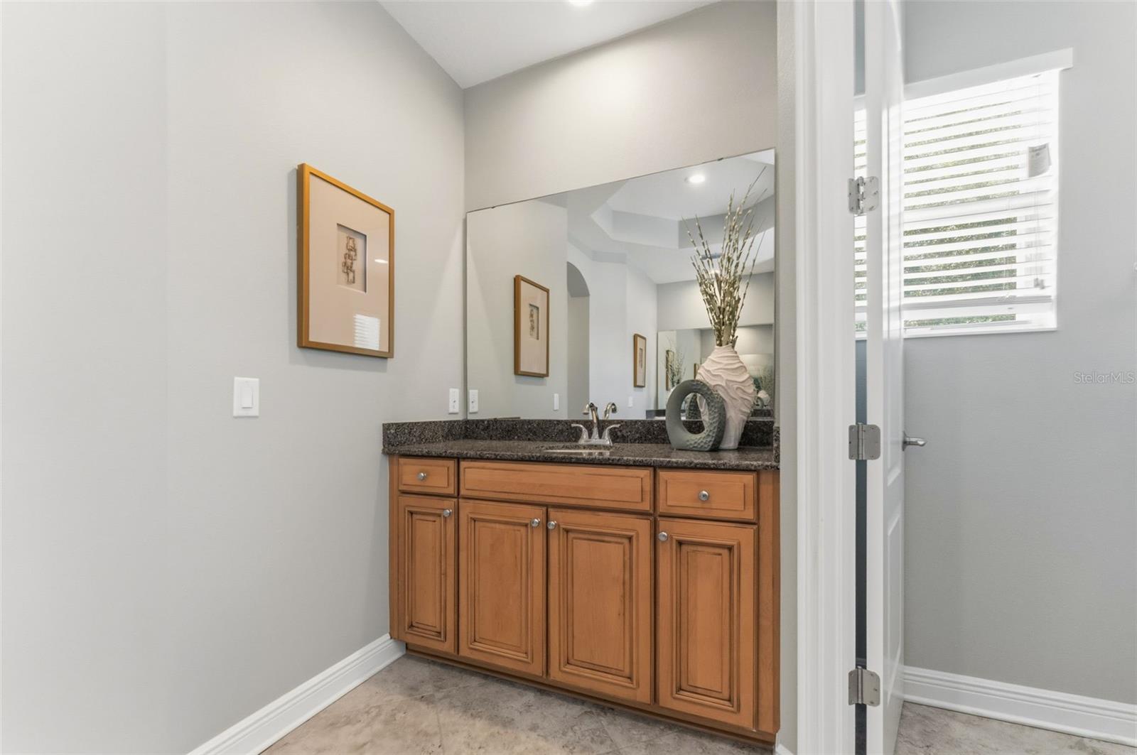 3203 LAKE GREEN CT, TAMPA, FL, 33611