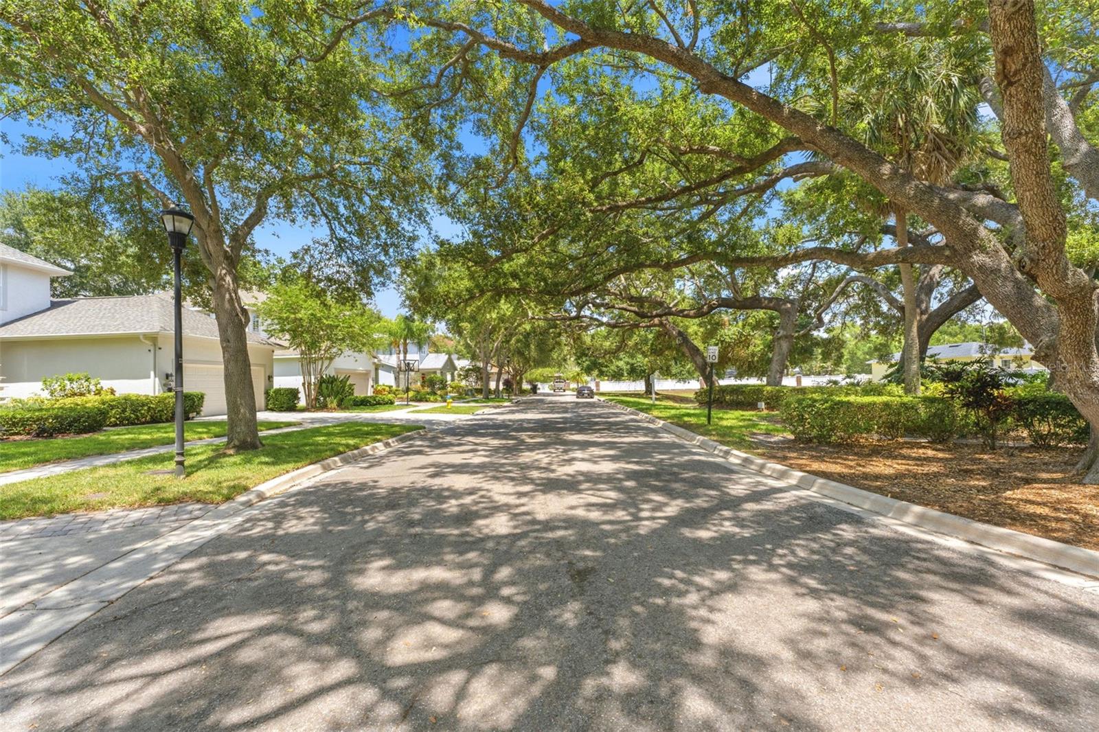 3203 LAKE GREEN CT, TAMPA, FL, 33611