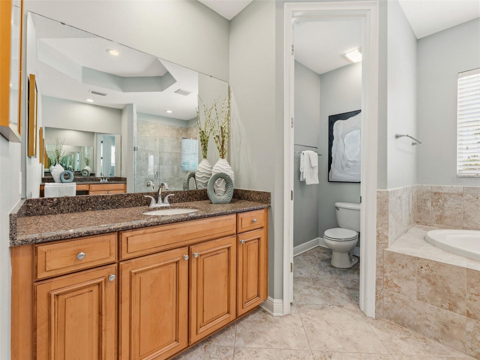 3203 LAKE GREEN CT, TAMPA, FL, 33611