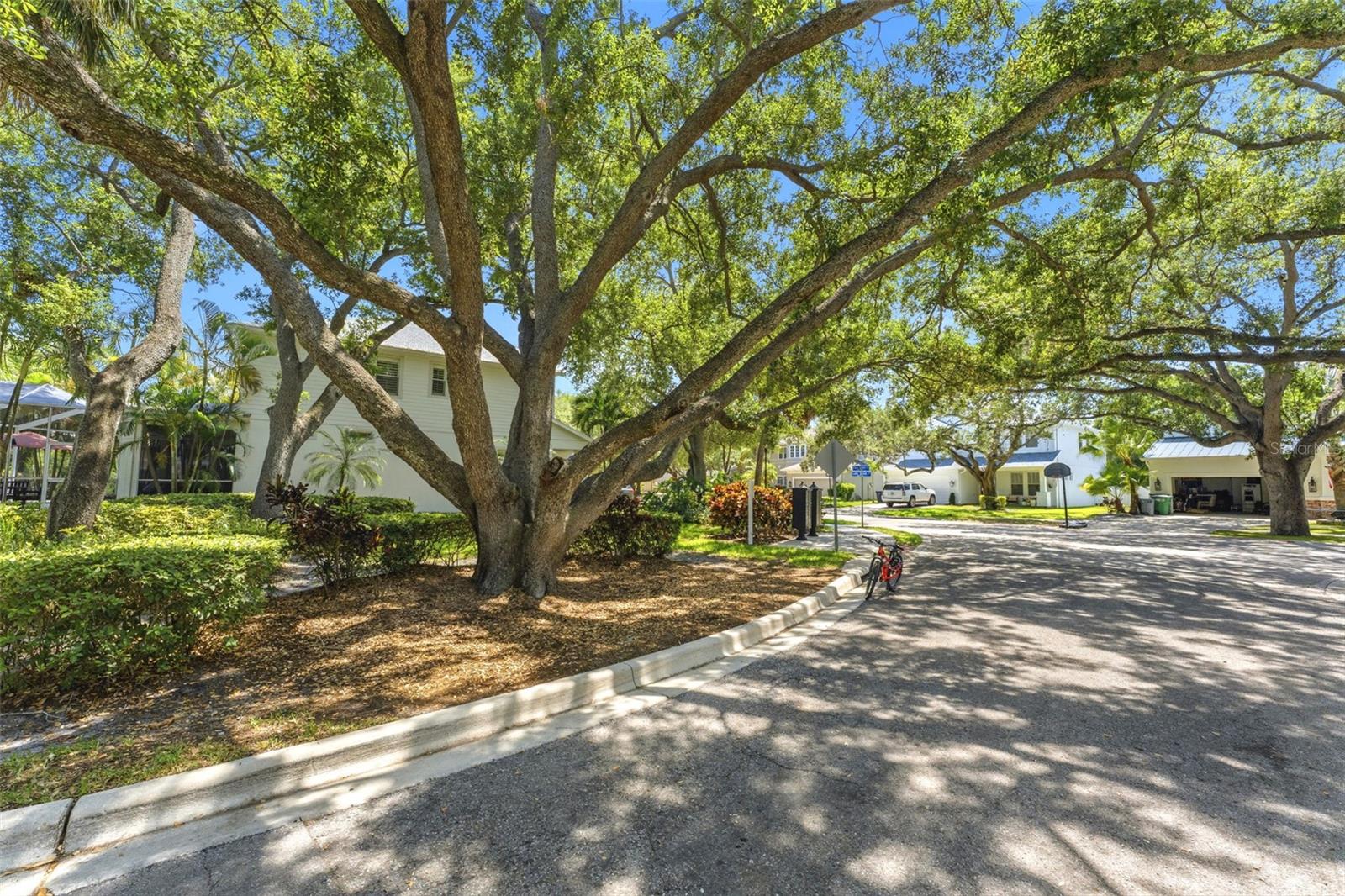 3203 LAKE GREEN CT, TAMPA, FL, 33611