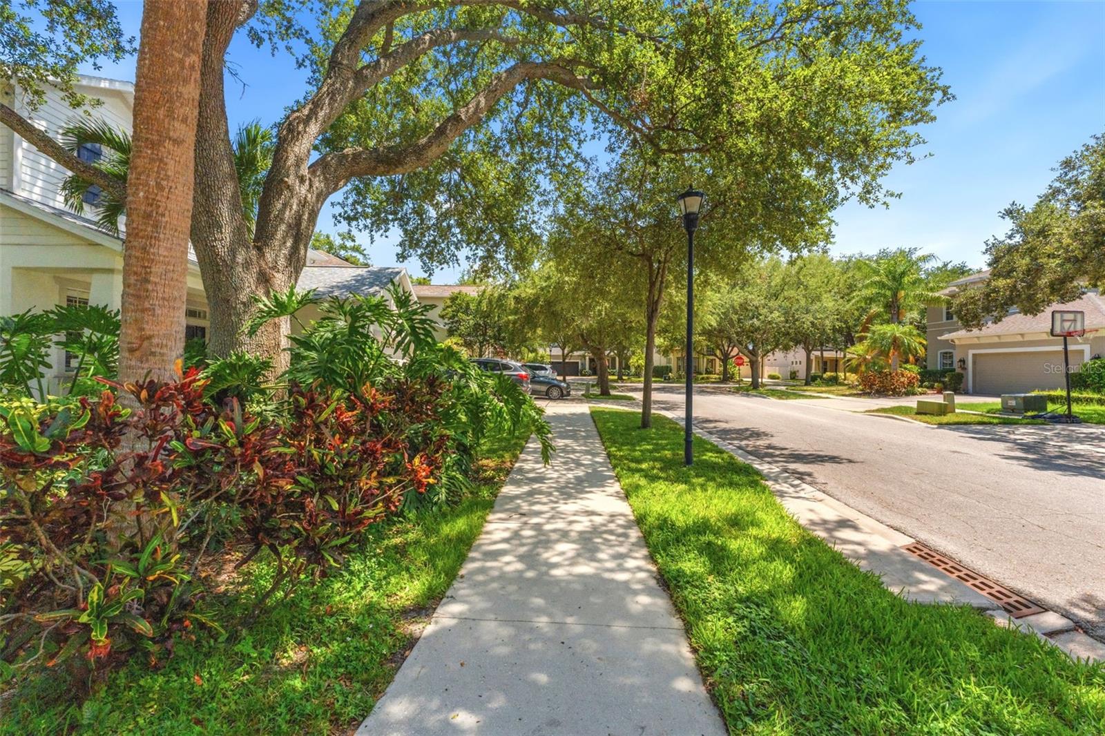 3203 LAKE GREEN CT, TAMPA, FL, 33611