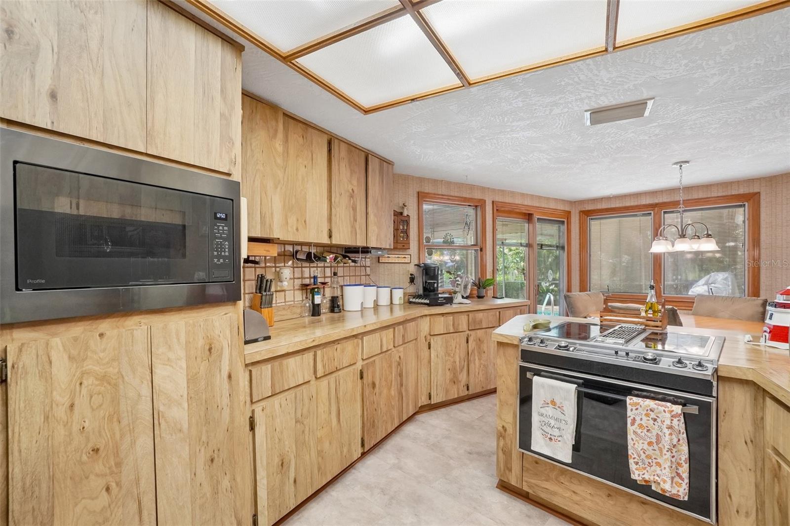 1168 ENISWOOD PKWY, PALM HARBOR, FL, 34683