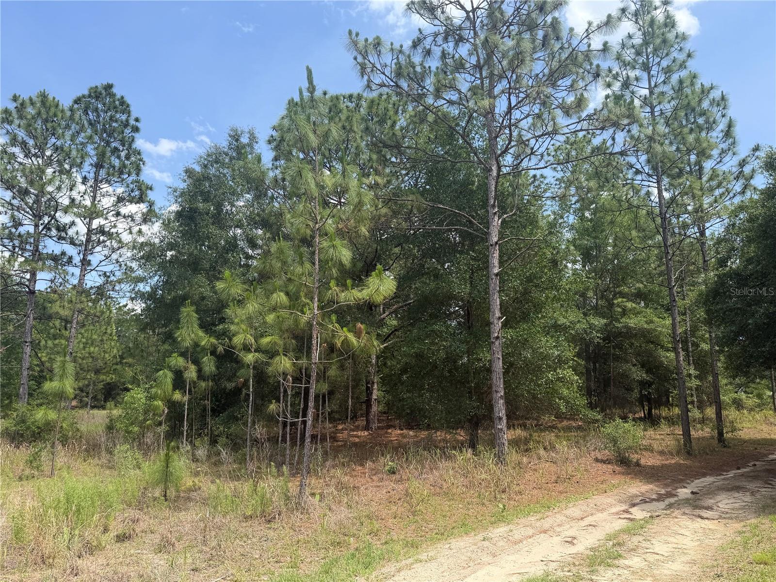TBD SW 145TH CT, OCALA, FL, 34482