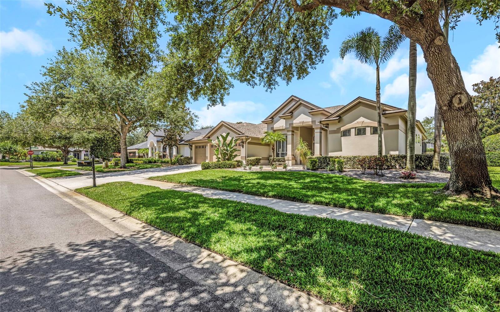 3675 JANUS WAY, PALM HARBOR, FL, 34685