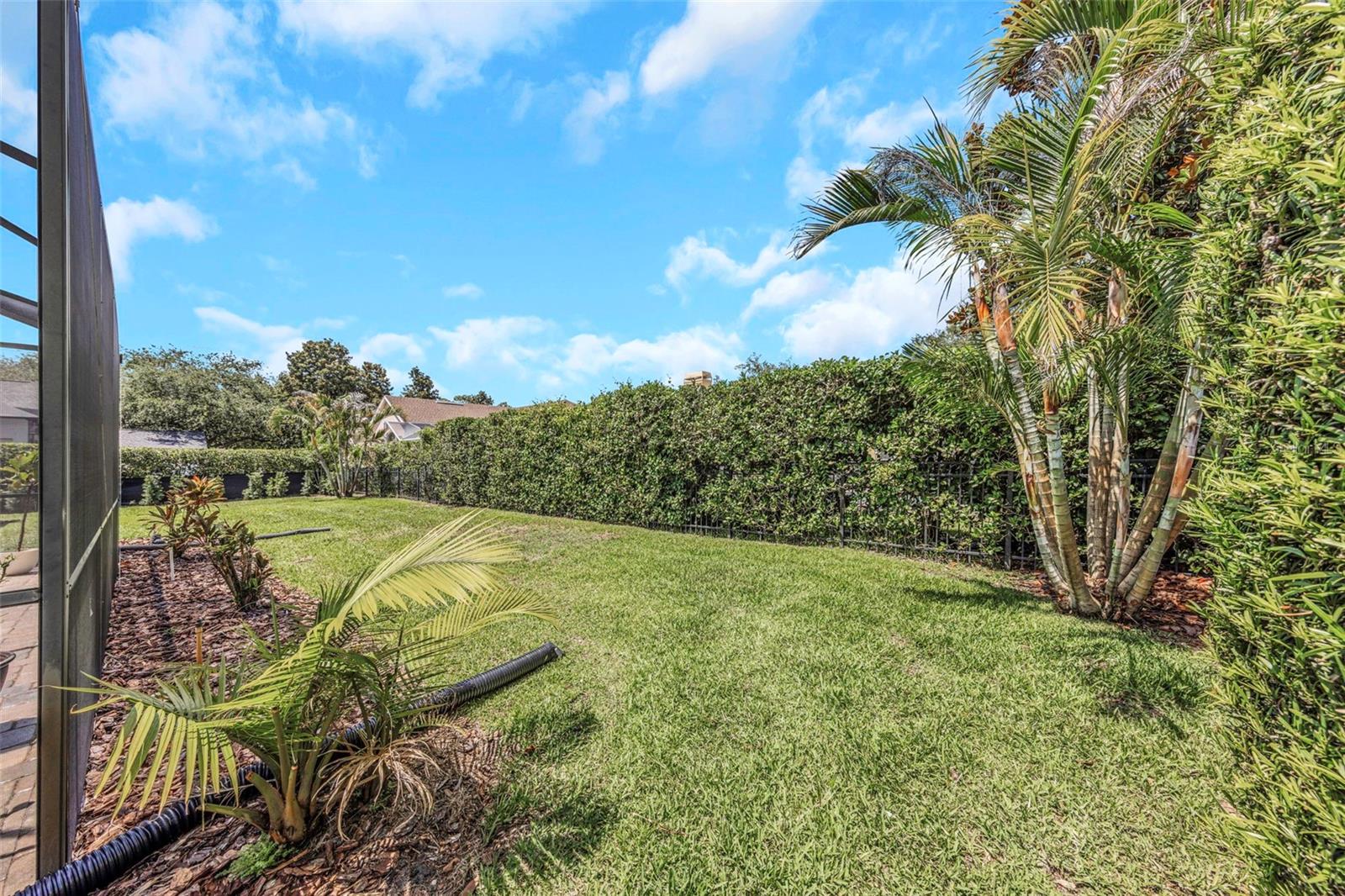 3675 JANUS WAY, PALM HARBOR, FL, 34685