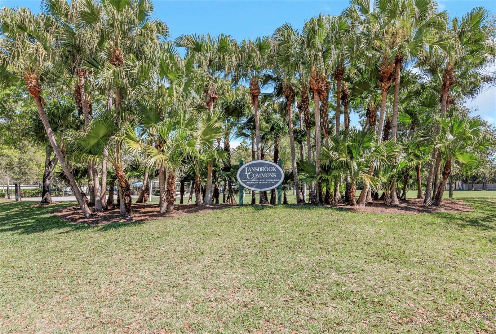 3675 JANUS WAY, PALM HARBOR, FL, 34685