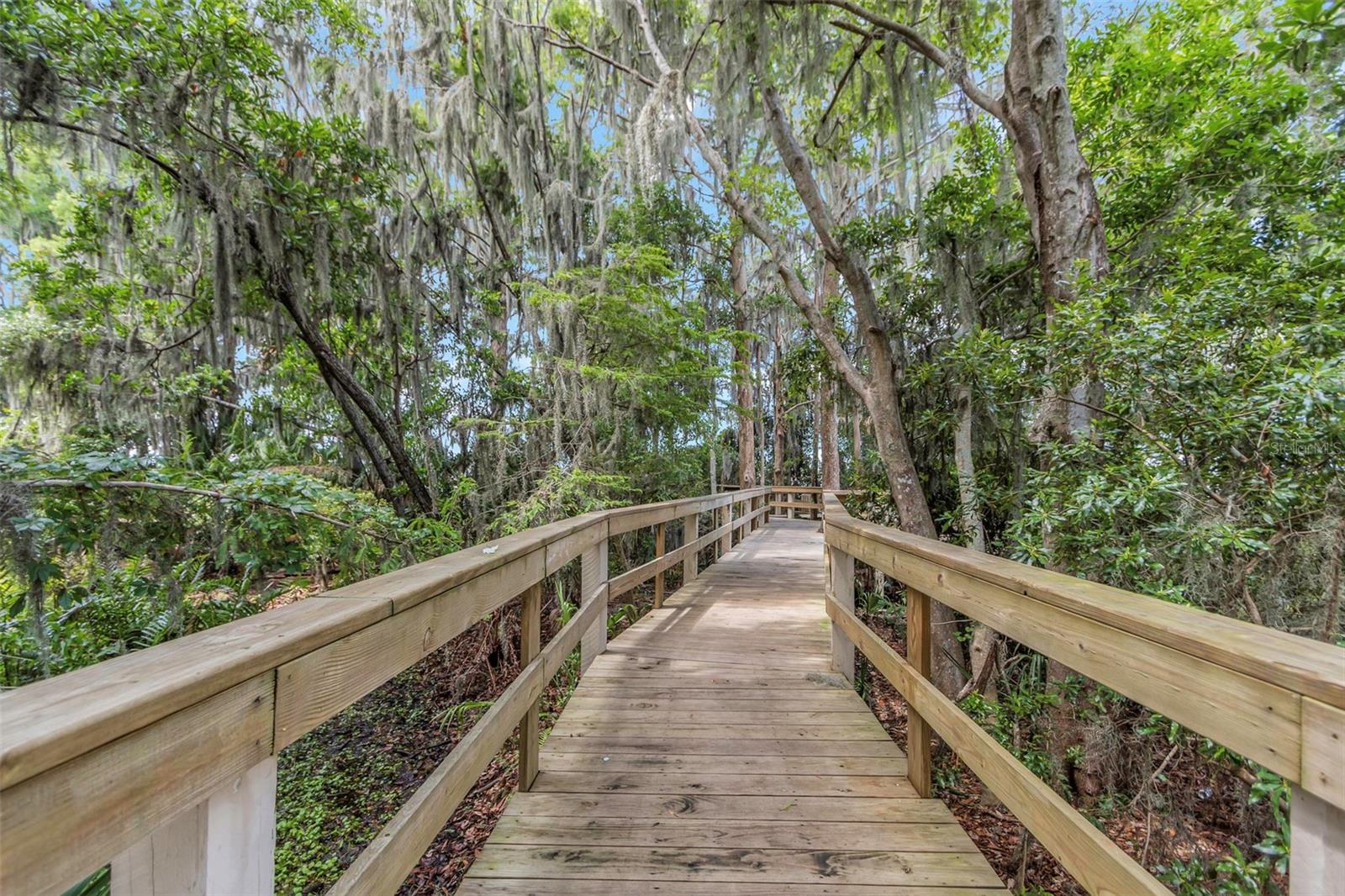 3675 JANUS WAY, PALM HARBOR, FL, 34685