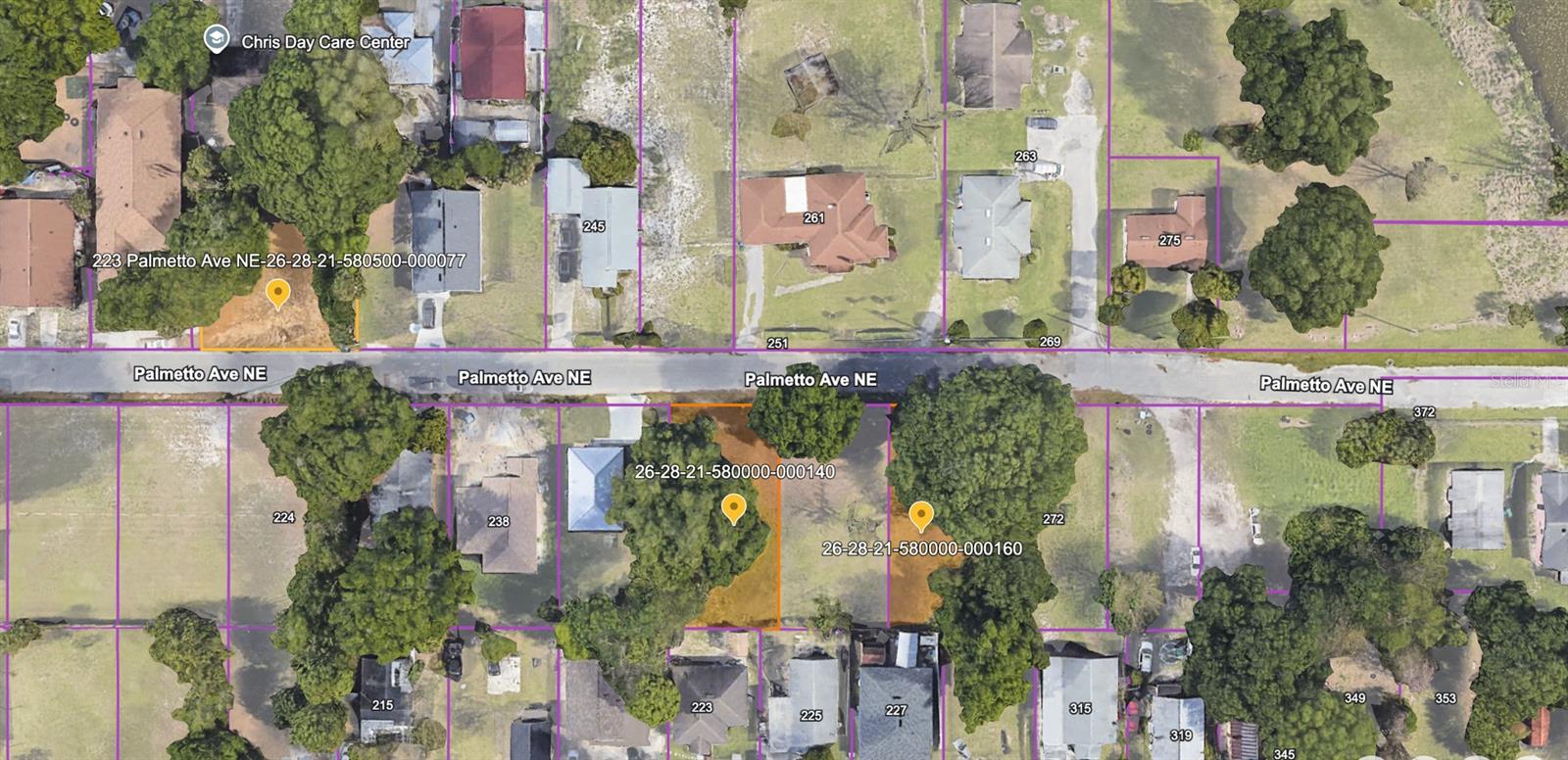 223 PALMETTO AVE NE, WINTER HAVEN, FL, 33881