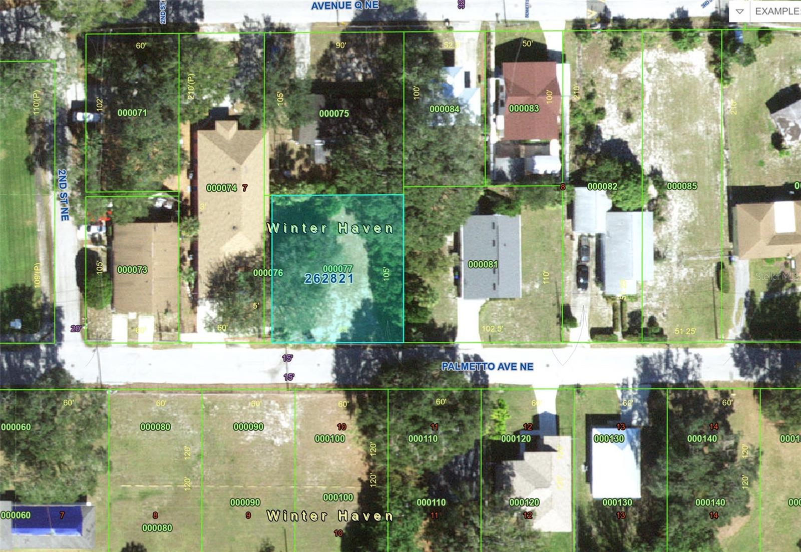 223 PALMETTO AVE NE, WINTER HAVEN, FL, 33881