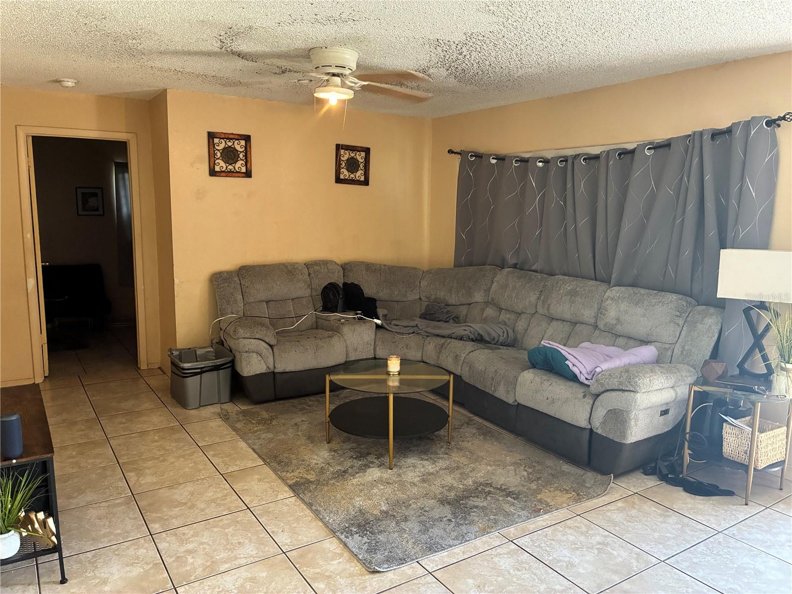 113 S MARYLAND AVE, PLANT CITY, FL, 33563