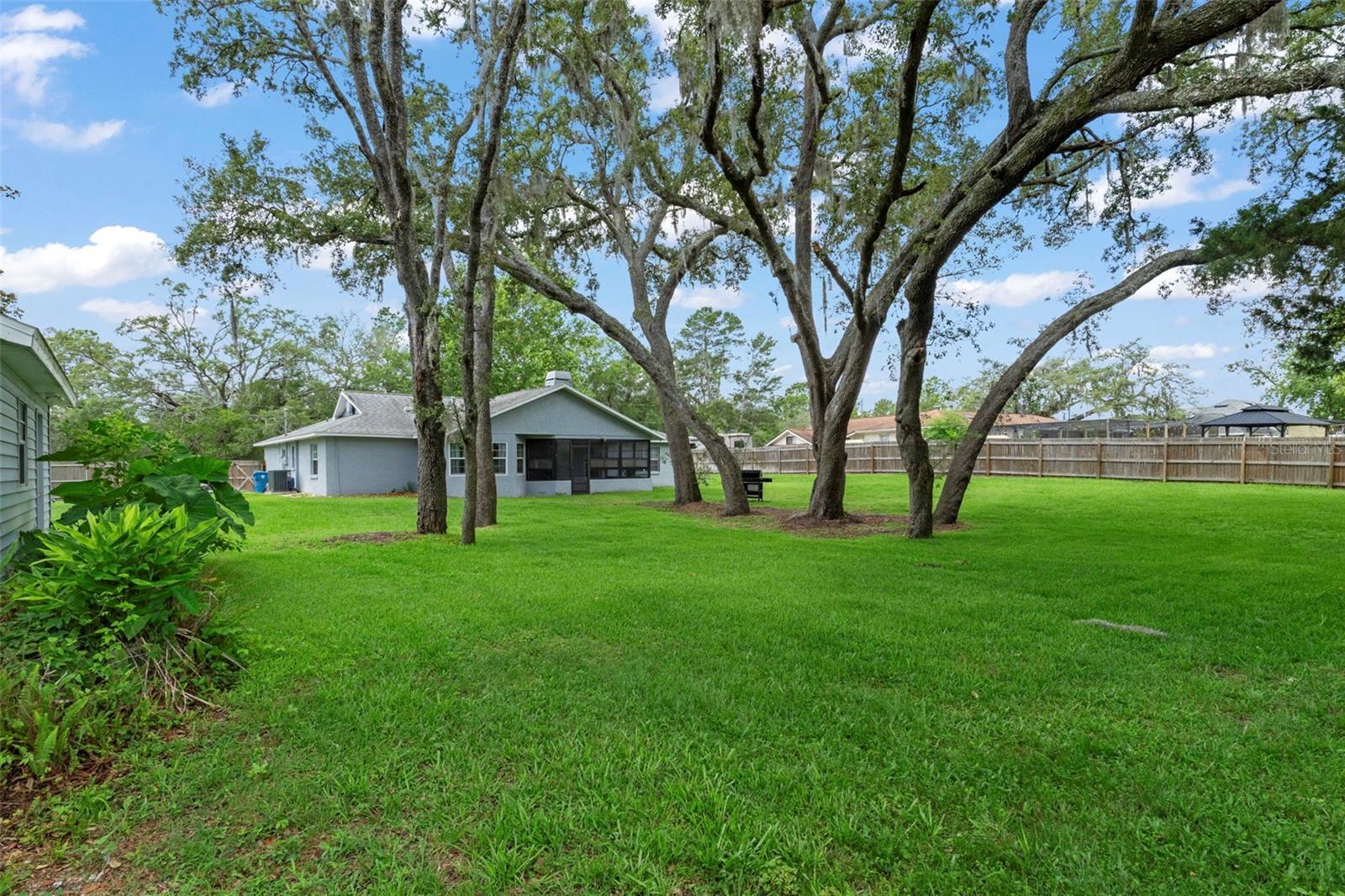 11487 TRUMBULL DR, SPRING HILL, FL, 34609